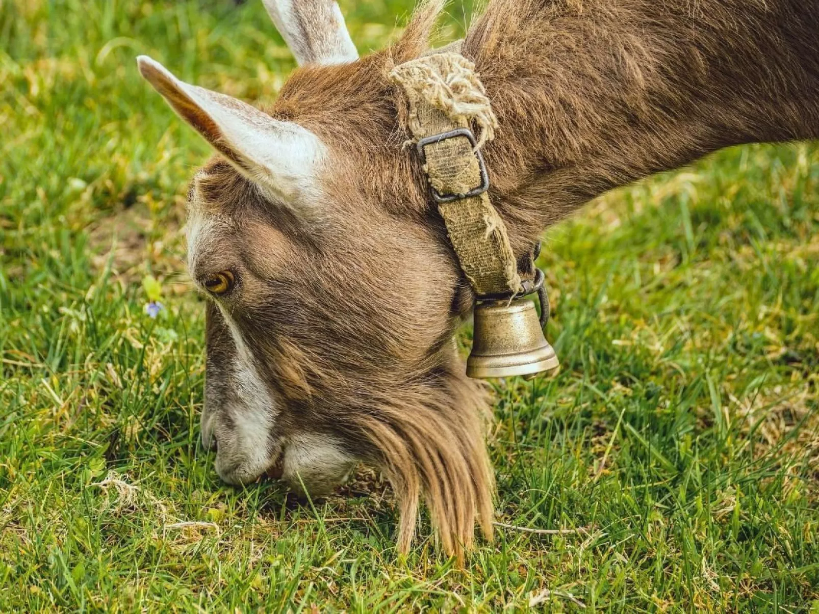 Ski- und Gruppenhaus-Image-tags.info