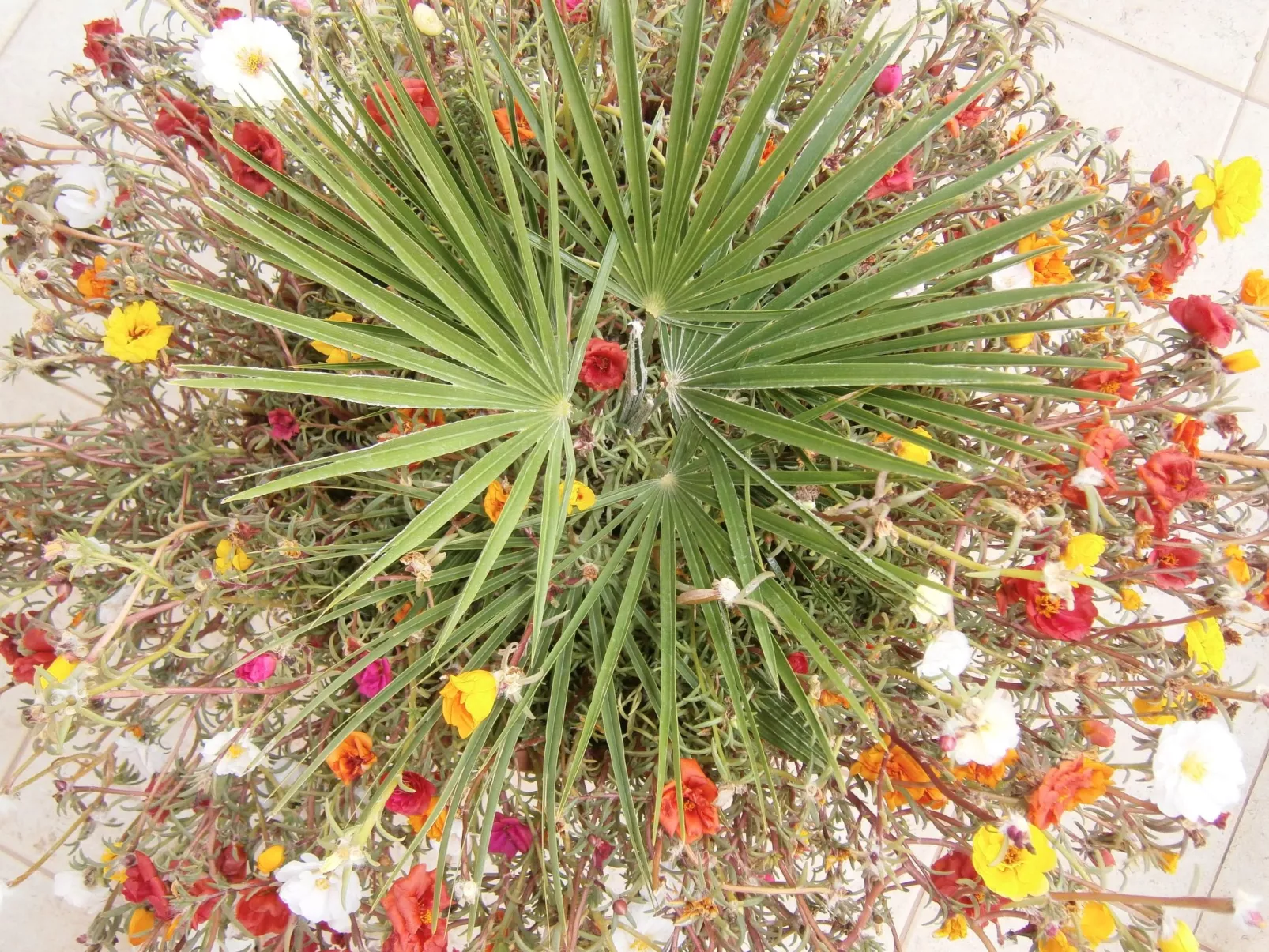 Apartman Sulic-Buiten