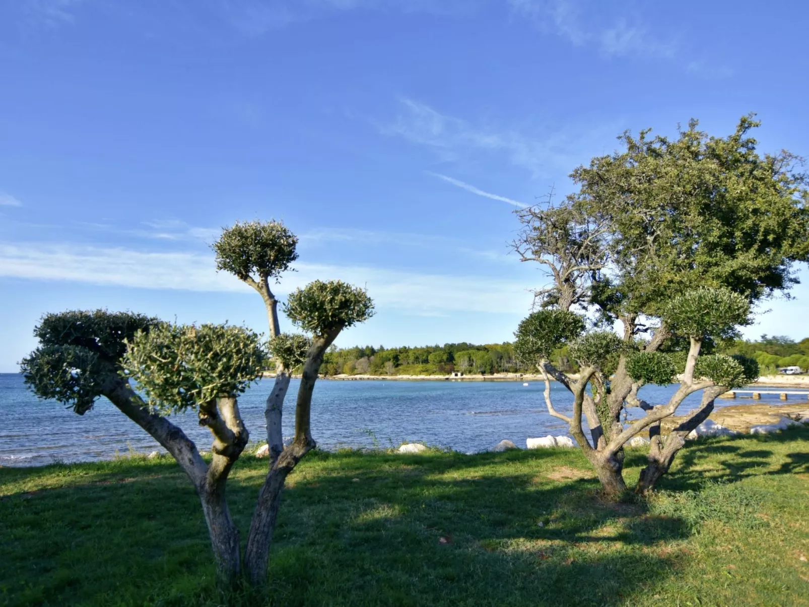 SILVA 2+1 2. KAT-Binnen