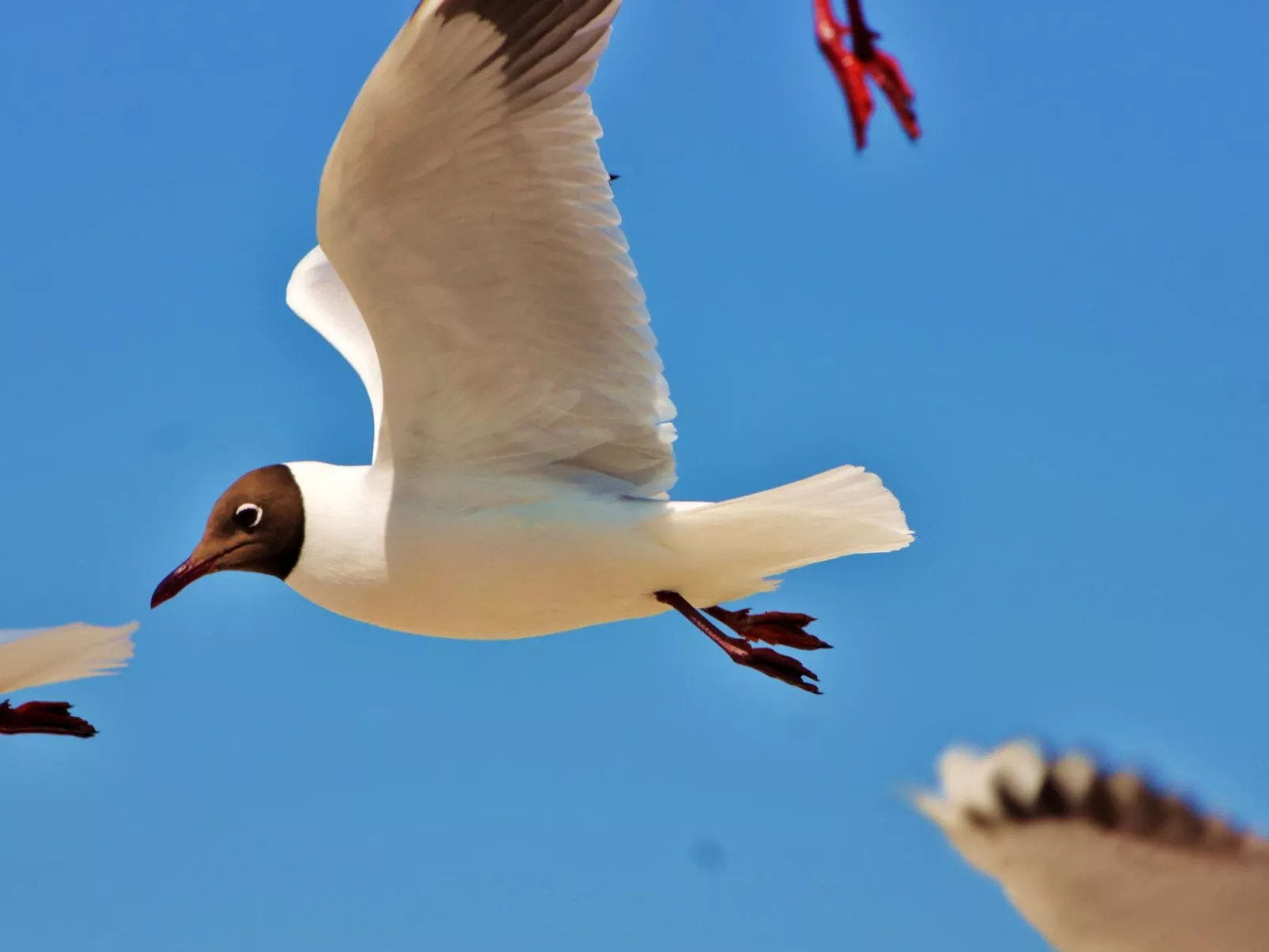 Strandnahe Wohnung mit Terrasse und Parkplatz-Binnen