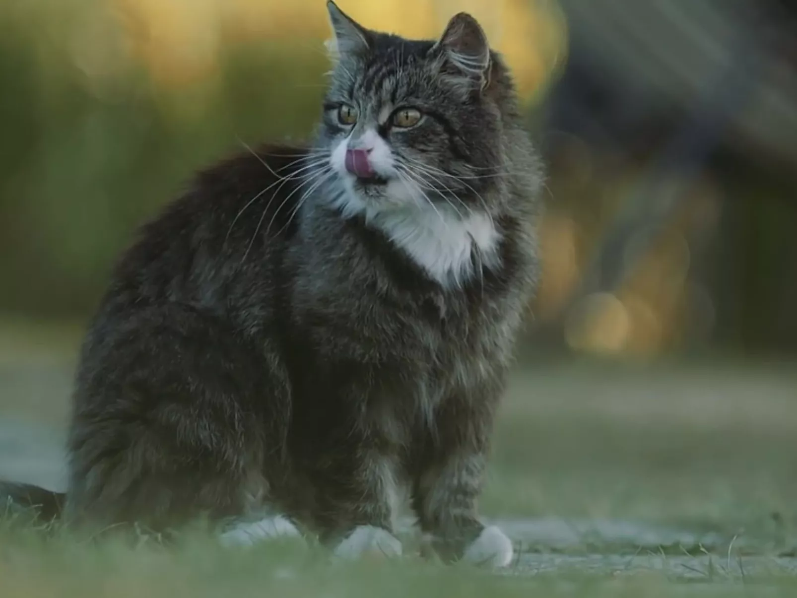 Landhaus mit Sonnenterrasse und Garten-Buiten