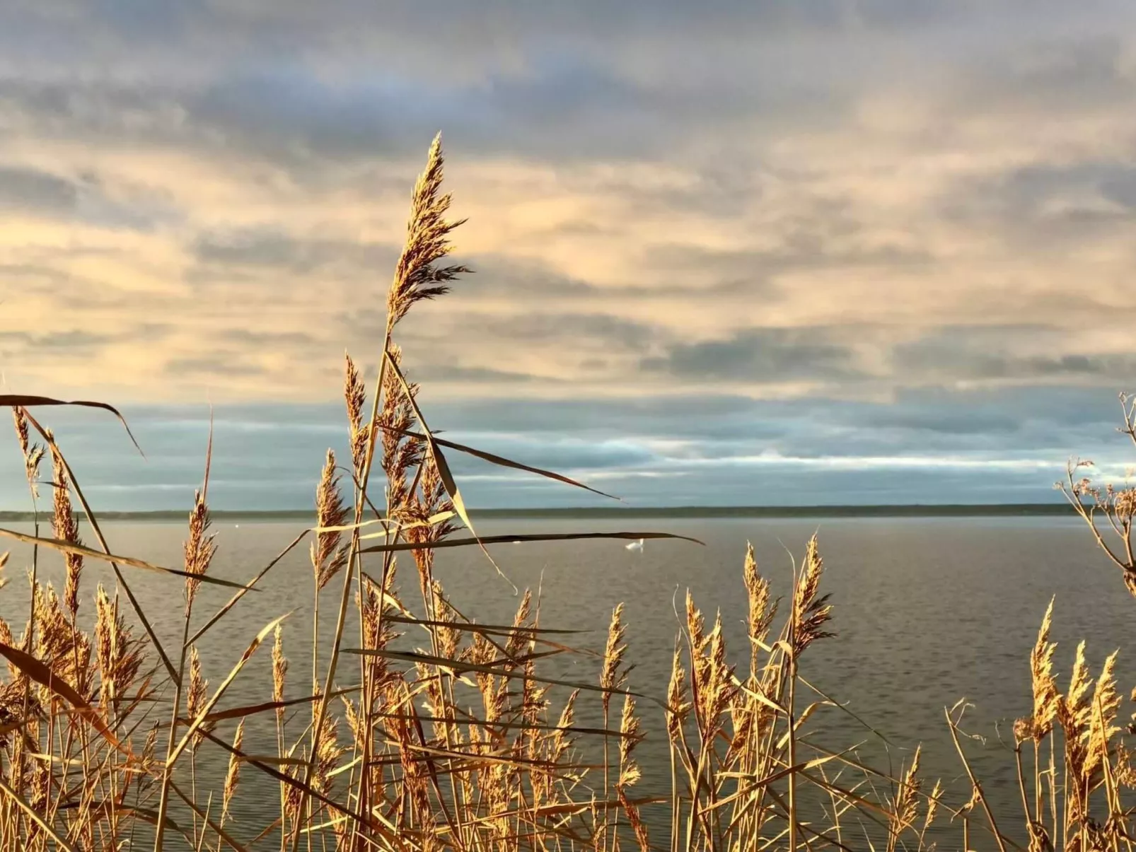 Wiesenblick 5-Binnen