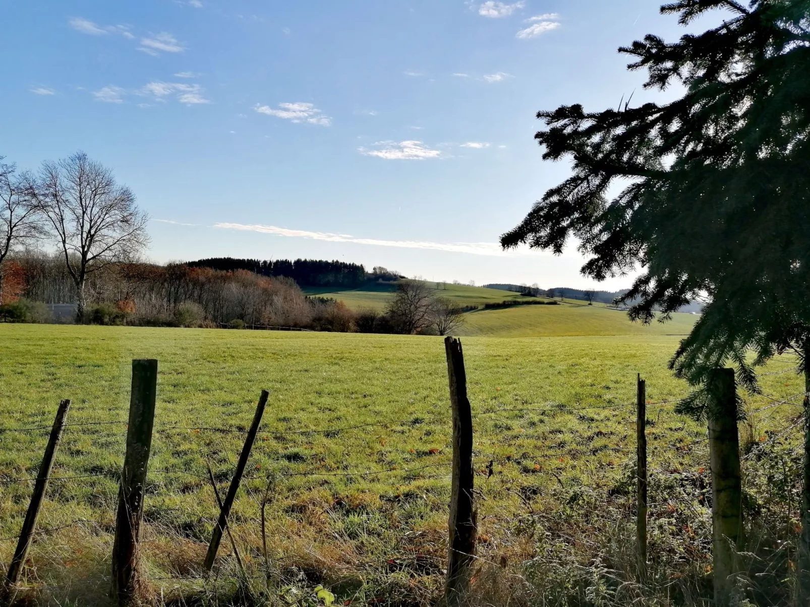 Appartement mit Terrasse-Binnen