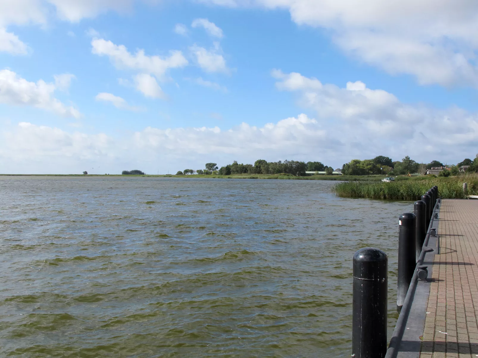 Ferienbungalow mit Terrasse und Angelplatz-Omgeving