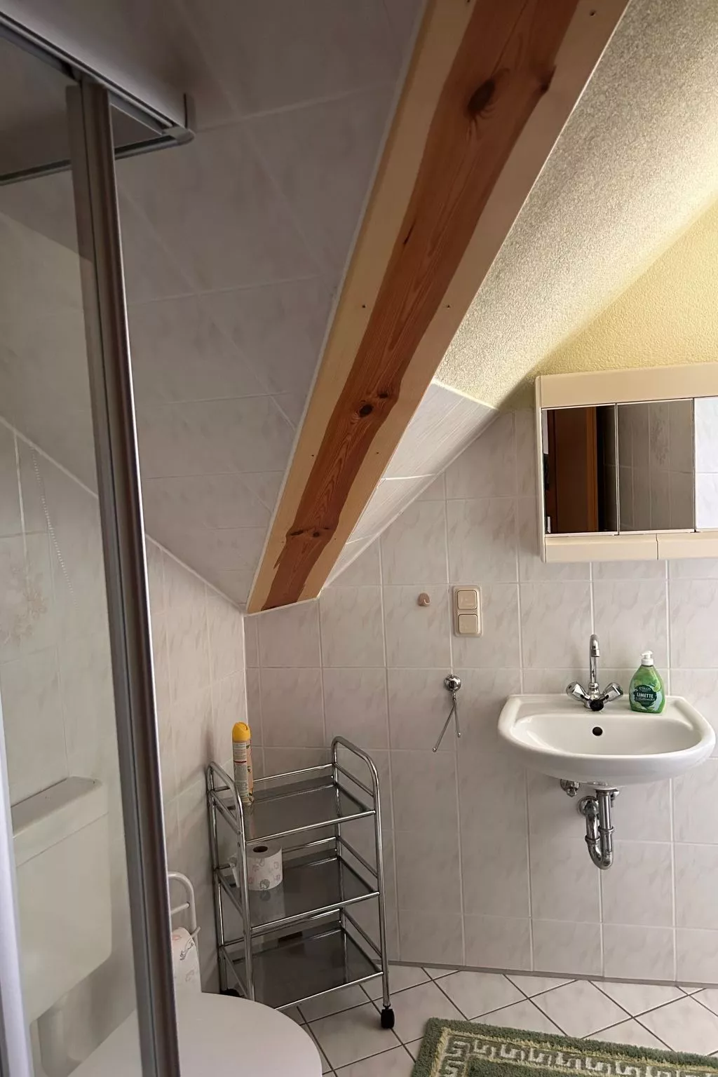 Am Schwielochsee-Binnen