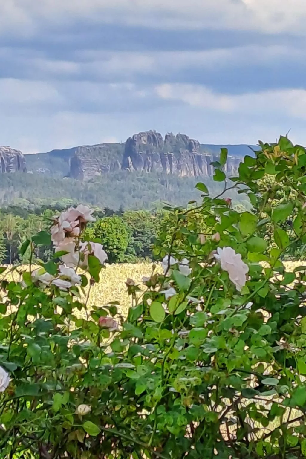 Schöne Ferienwohnung mit Garten und Grill-Buiten