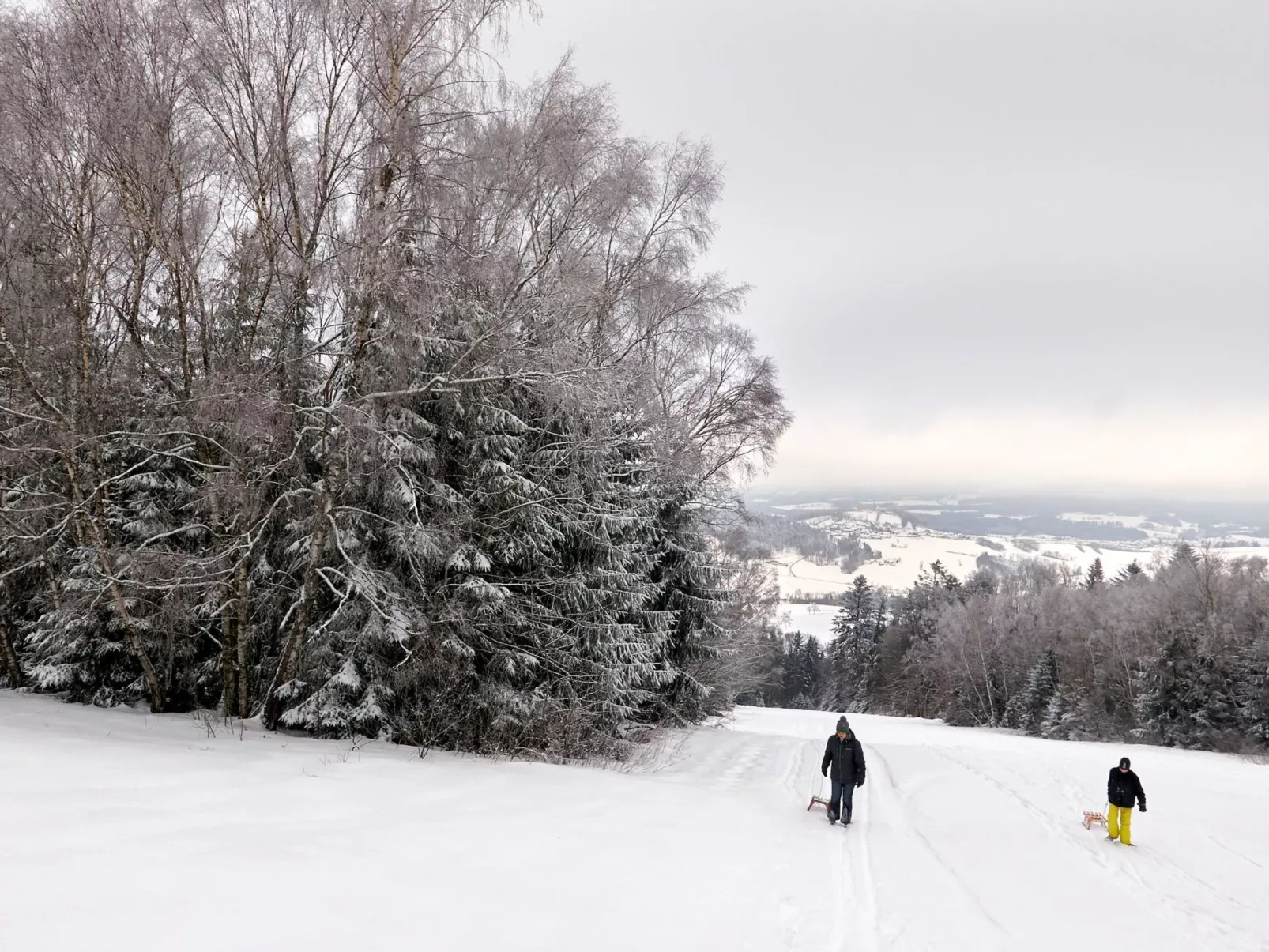 In Waldkirchen mit Garten und Seeblick-Binnen