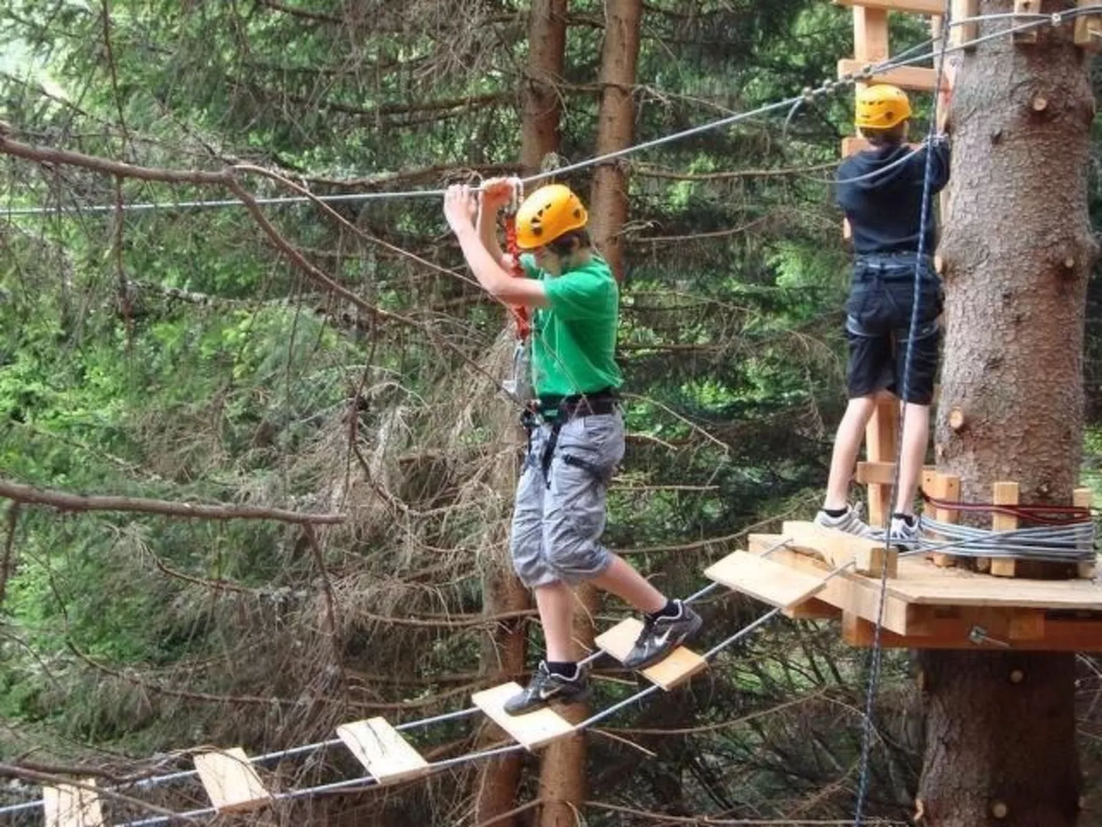 Almhaus am Hohenwart-Binnen