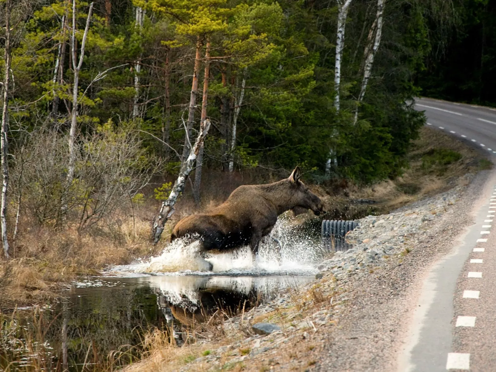 "Évika 1" mit Sauna-Buiten