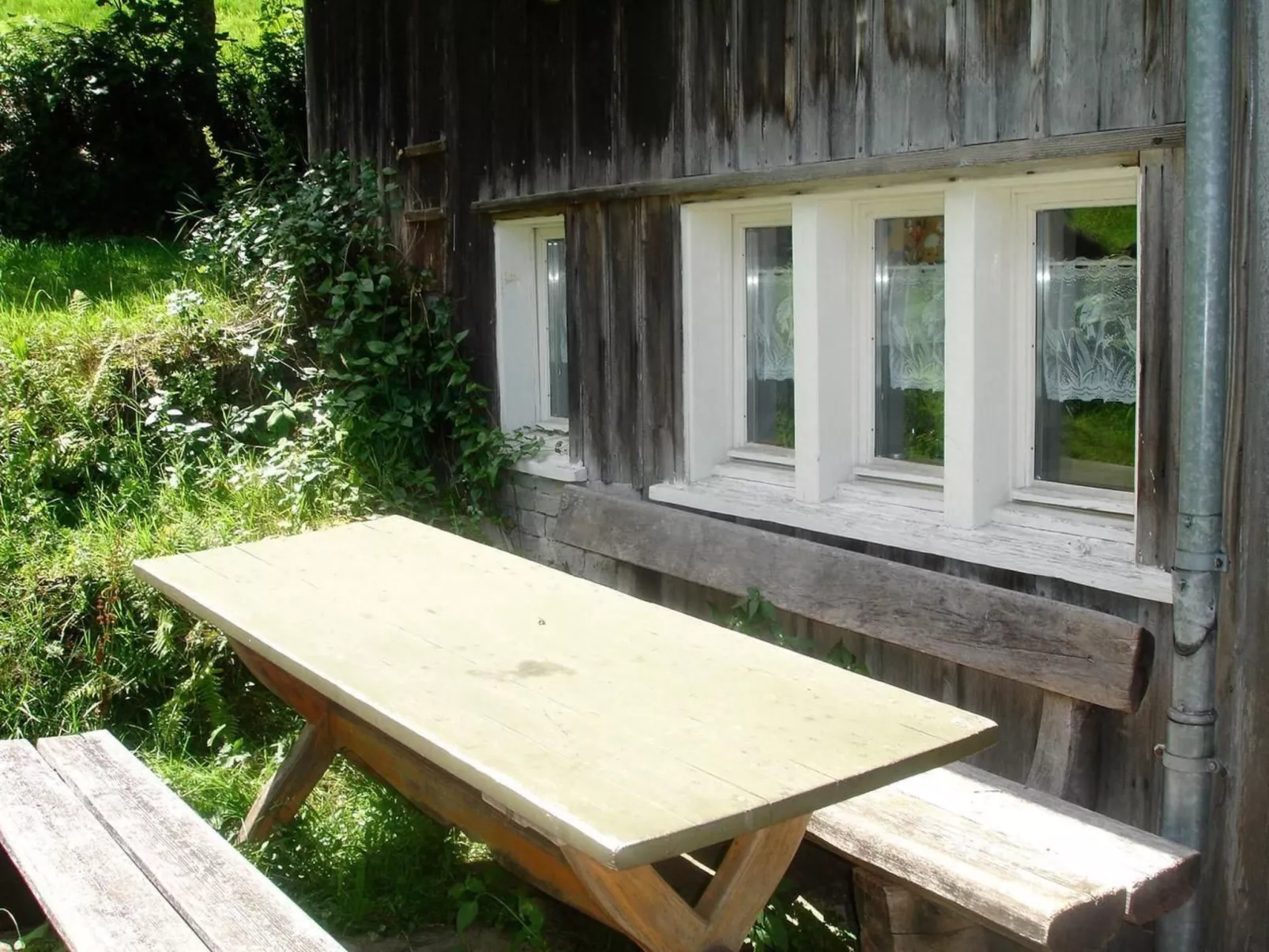 Ruchweid-Image-tags.info