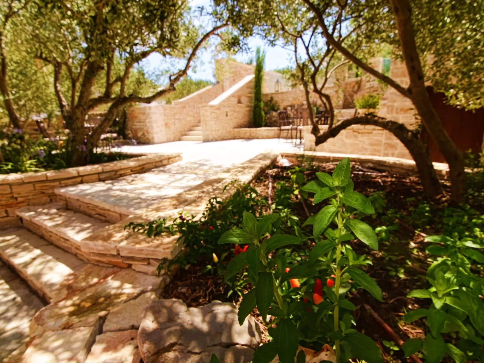 Wohnung "Villa Kos A-1" mit Pool-Buiten