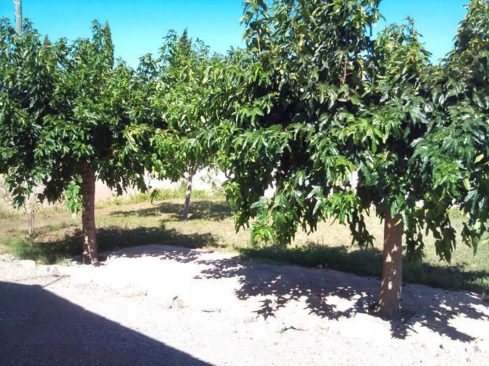 Schönes Ferienhaus mit eigenem Pool-Image-tags.info