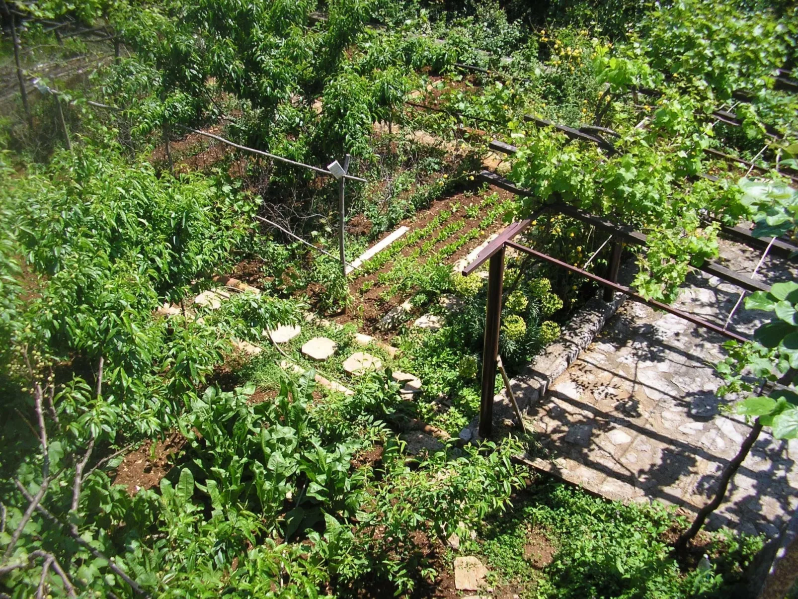 Mit Balkon und Terrasse-Buiten