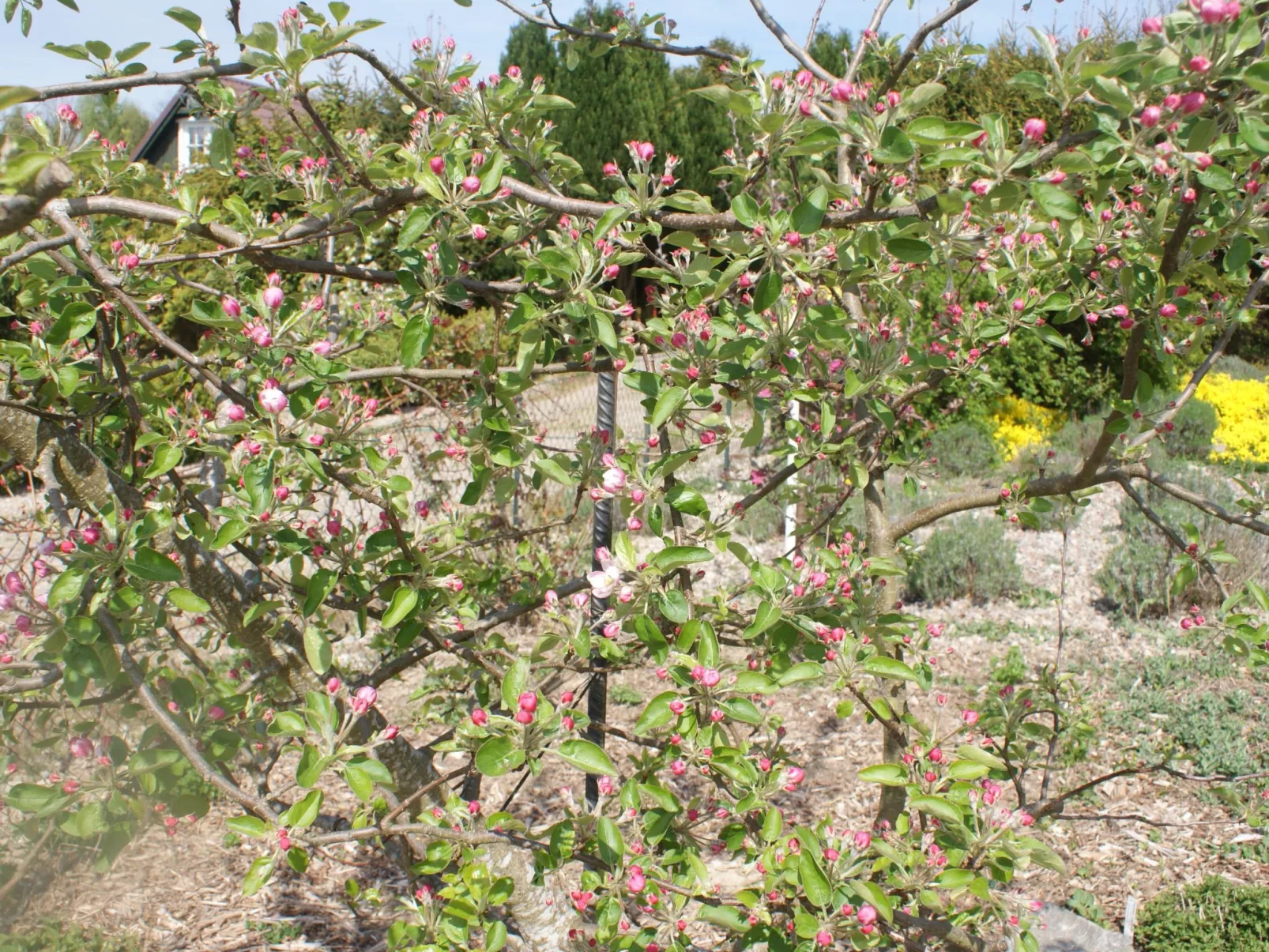 Meer, Landschaft, Stille - Ferienhäuser in den Gärten von Magra-Image-tags.info
