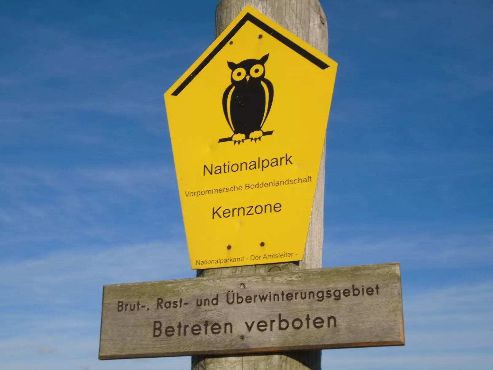 Komfortable Ferienwohnung in Zingst-Buiten