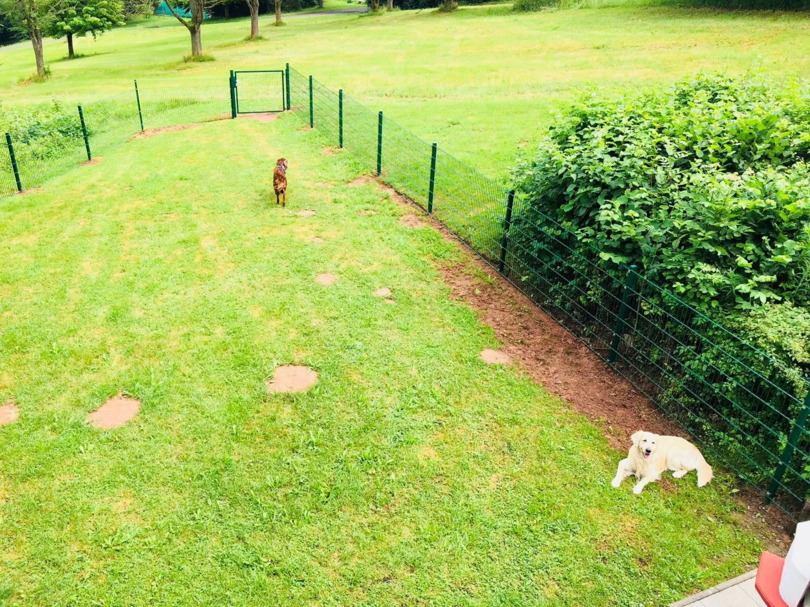 Charly in Kirchheim Seepark-Binnen