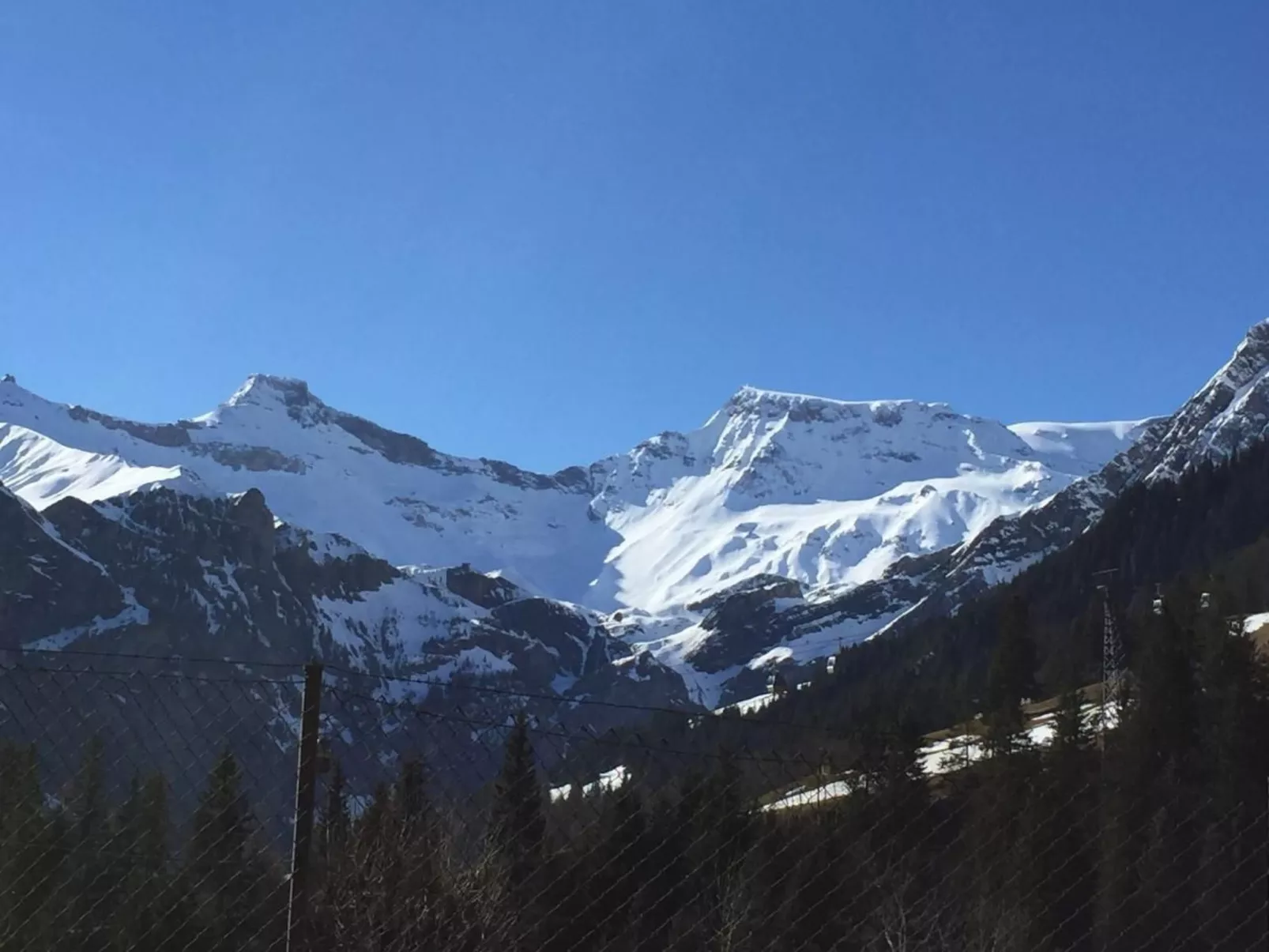 Chalet Silberdistel B11-Binnen