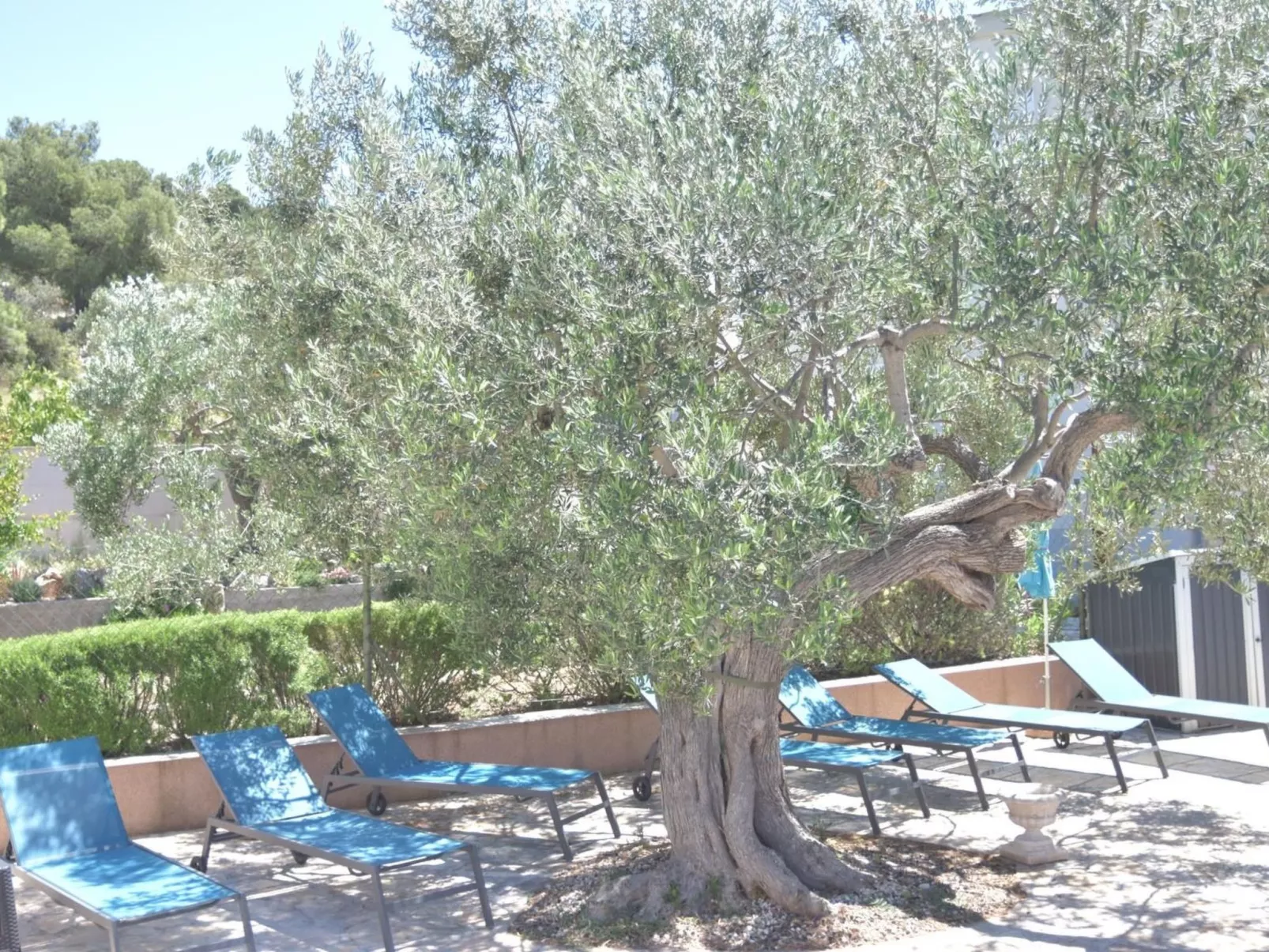 Garten Bungalow-Binnen