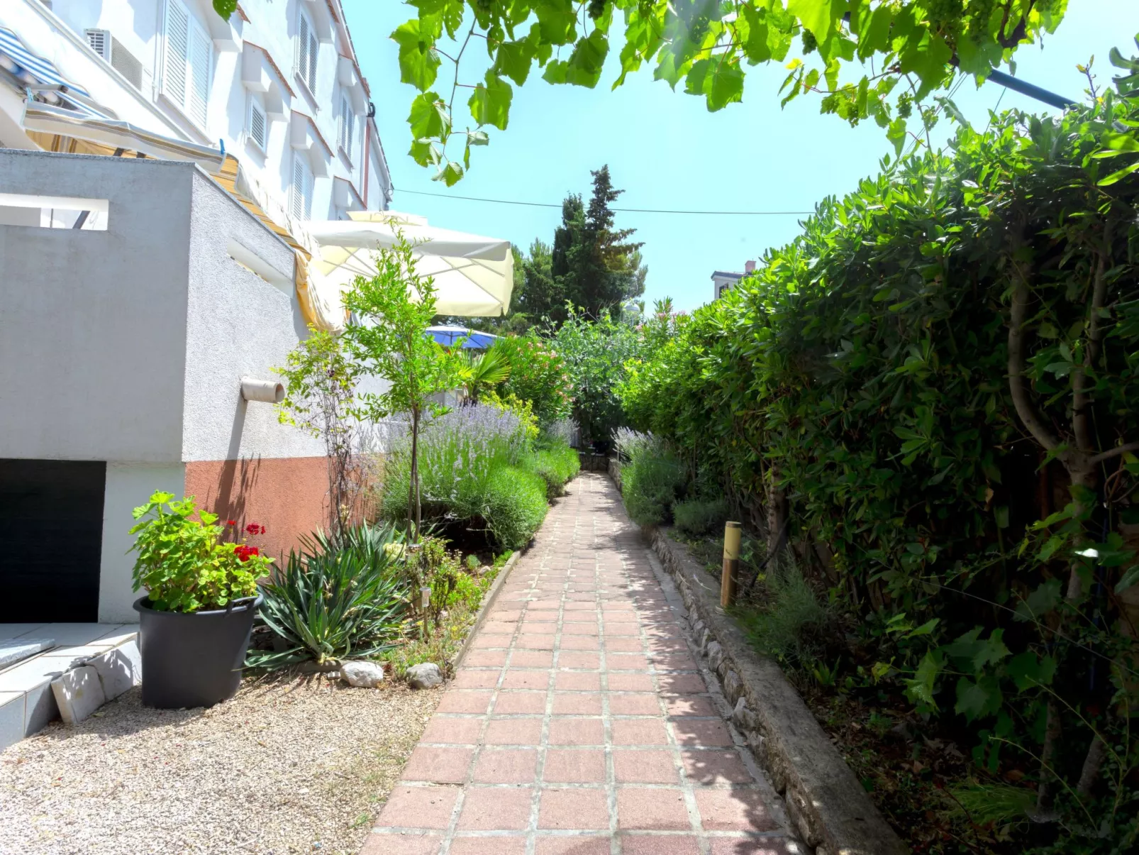 "Buka Calm VIIi-Binnen