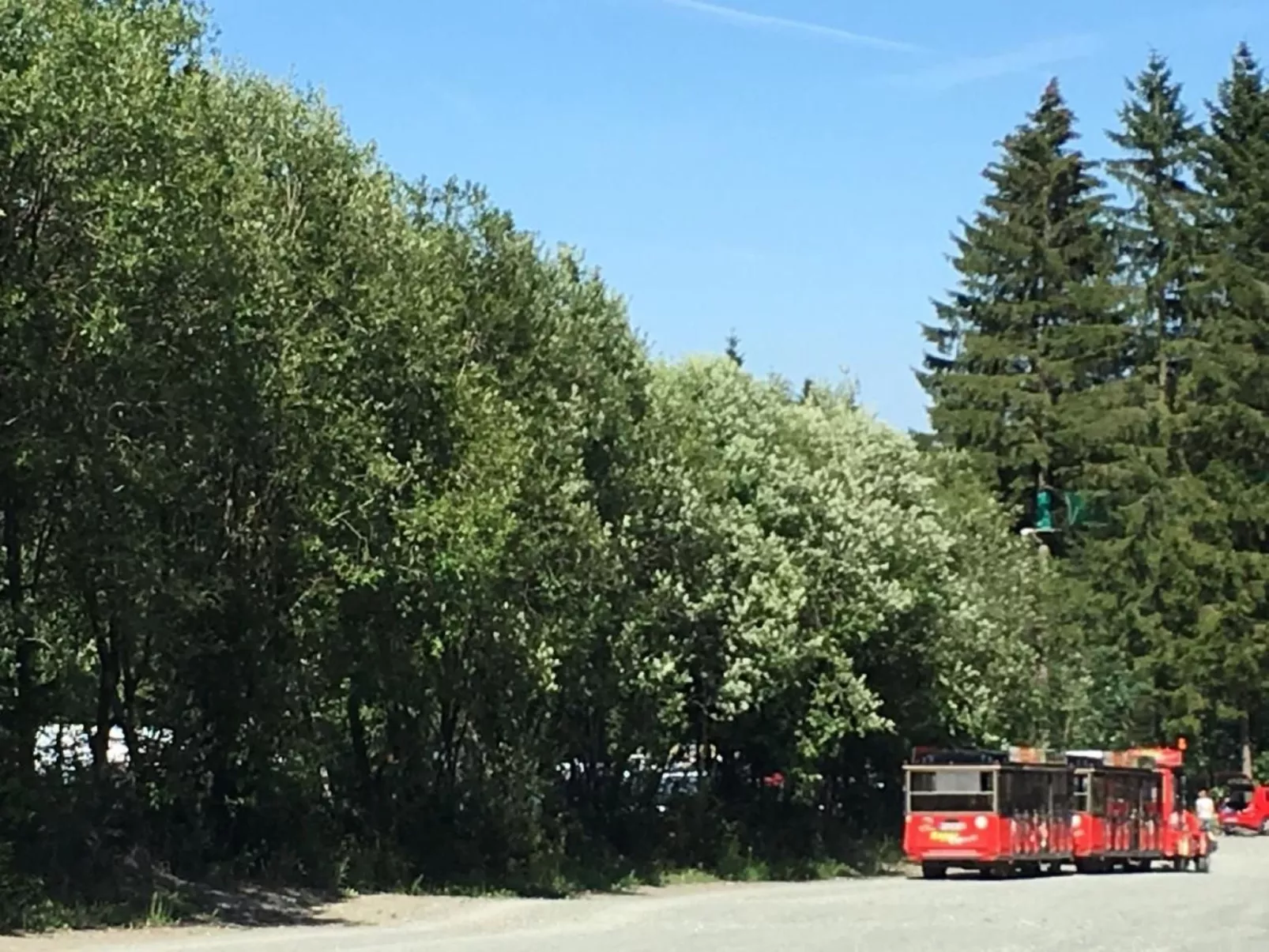 Berg- und Seeblick am Hillebachsee-Binnen