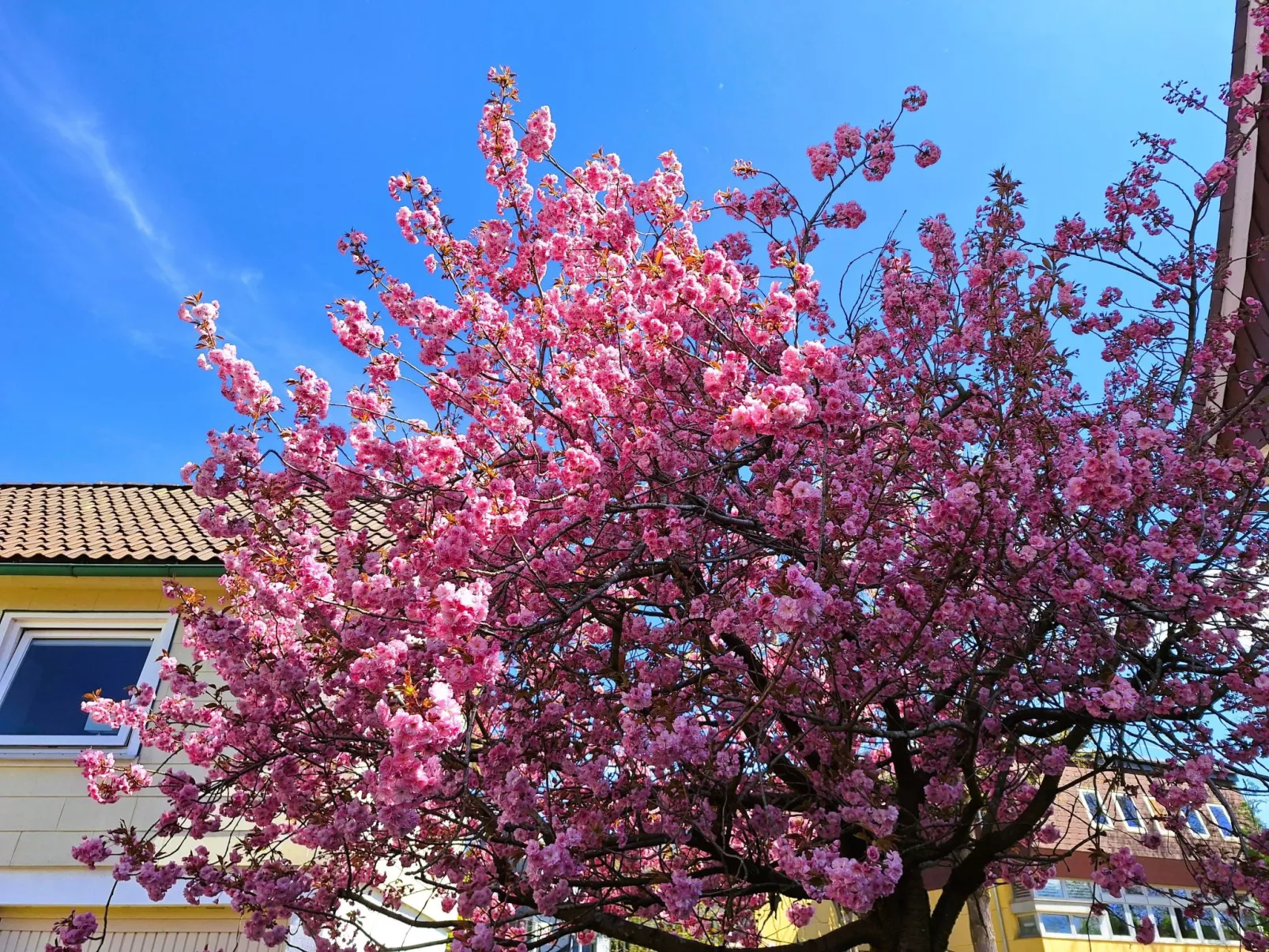 Große Auszeit - Buiten