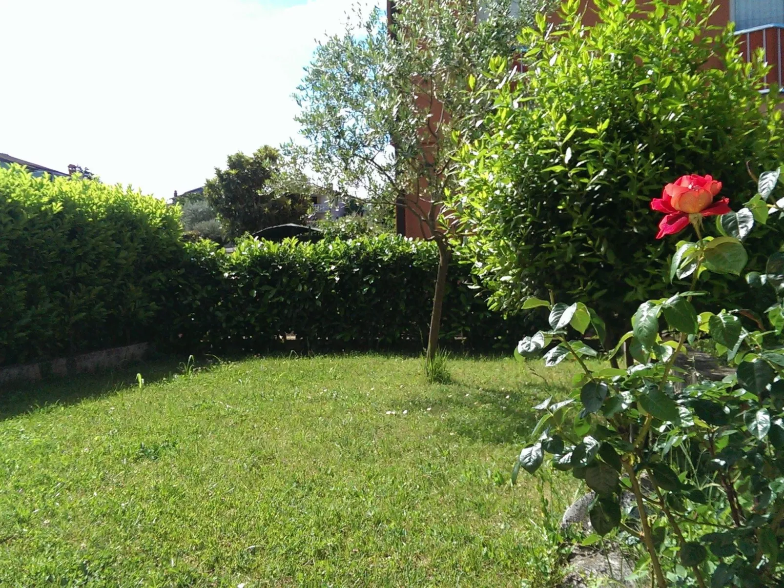 Geräumige Ferienwohnung Marija 2-Buiten