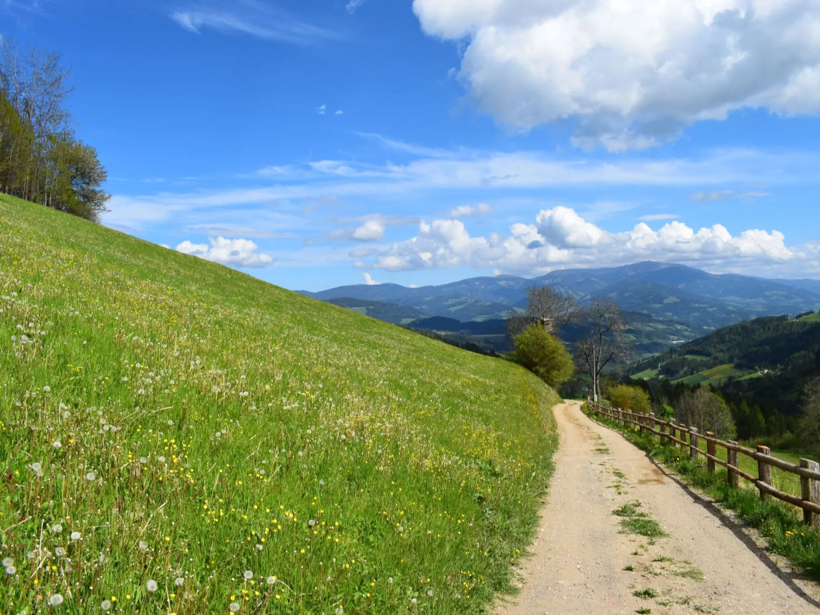 Alm-Ferienhaus-Binnen