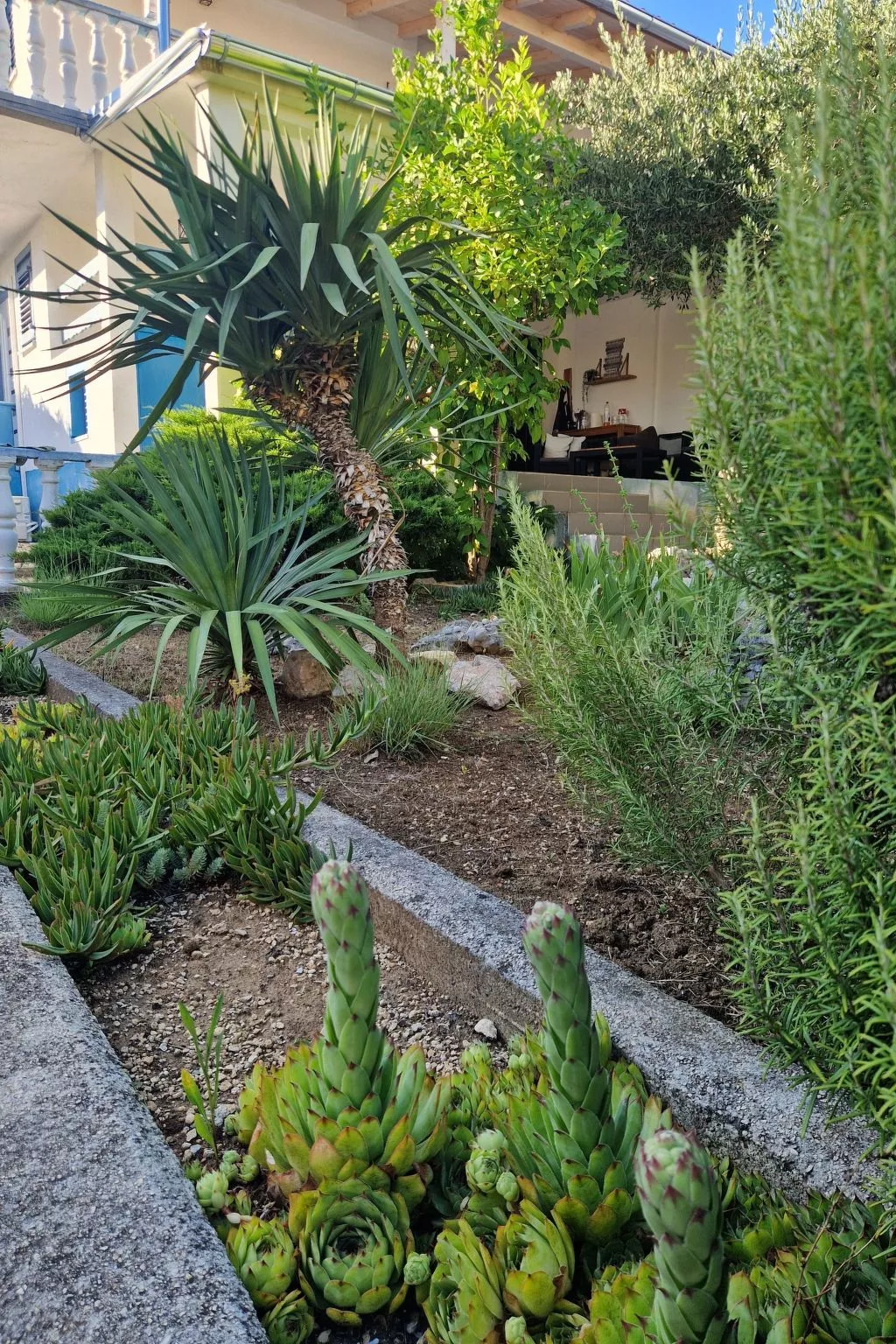 Apartment Antolica-Binnen