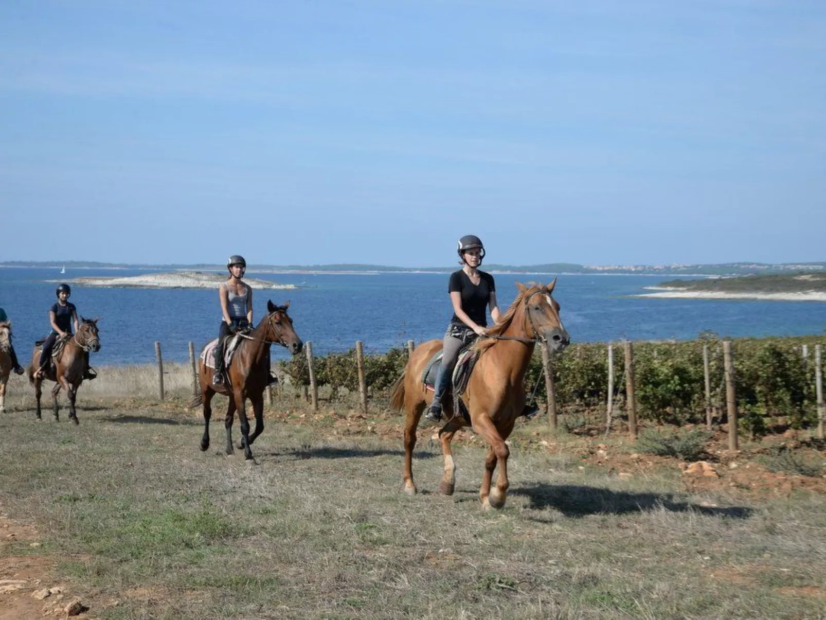 Villa Grofica, beheizter Pool, Taverne, Strandnähe-Binnen