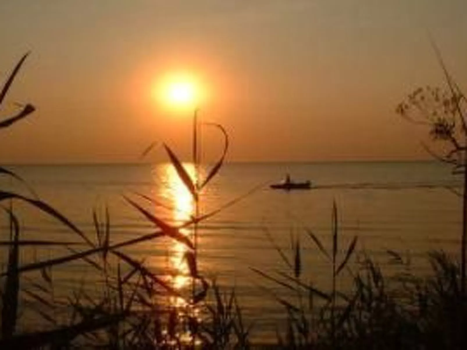 Mit Terrasse mitten im Grünen-Buiten