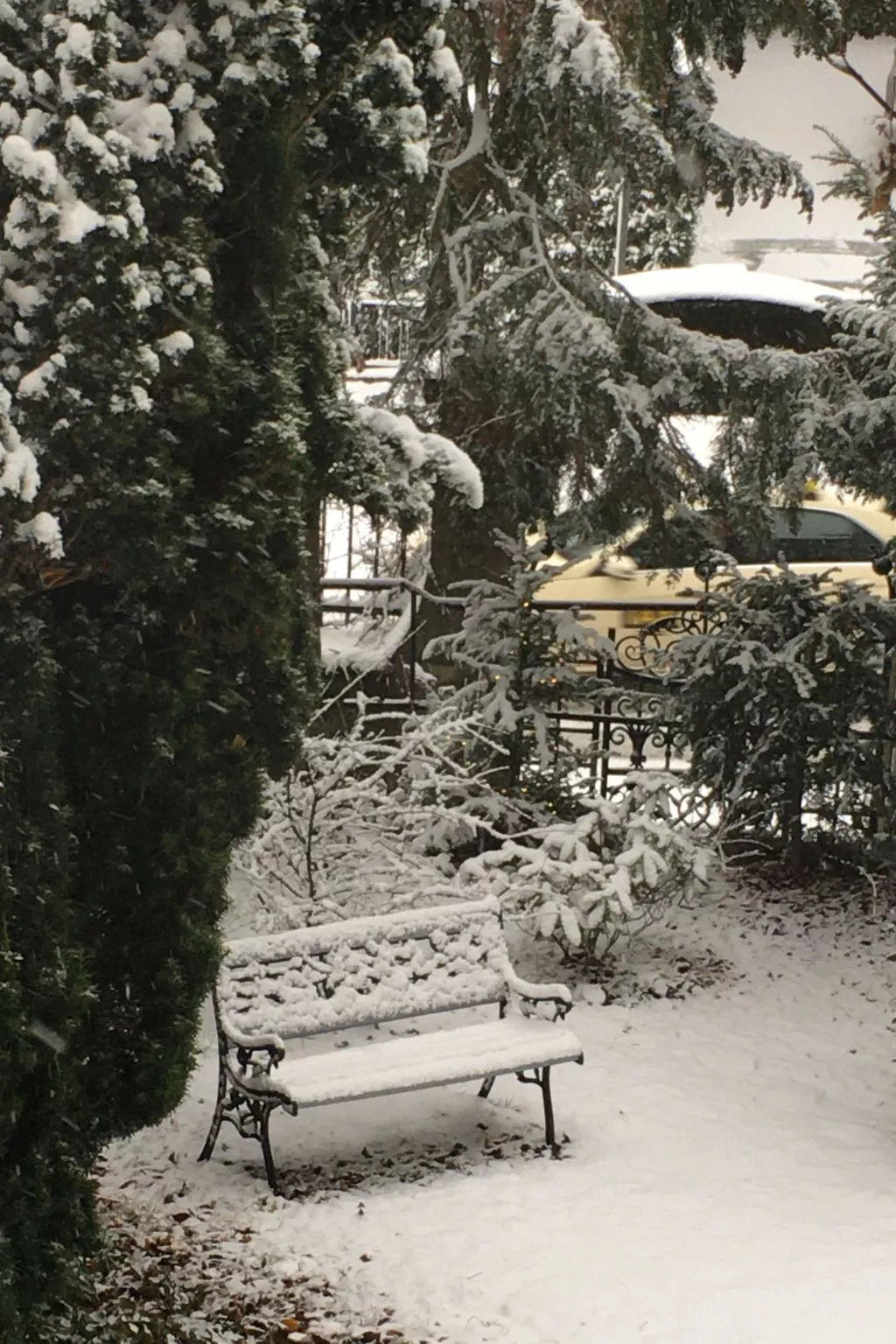 Altstadtnahe Wohnung Villa Harmening in Goslar-Buiten