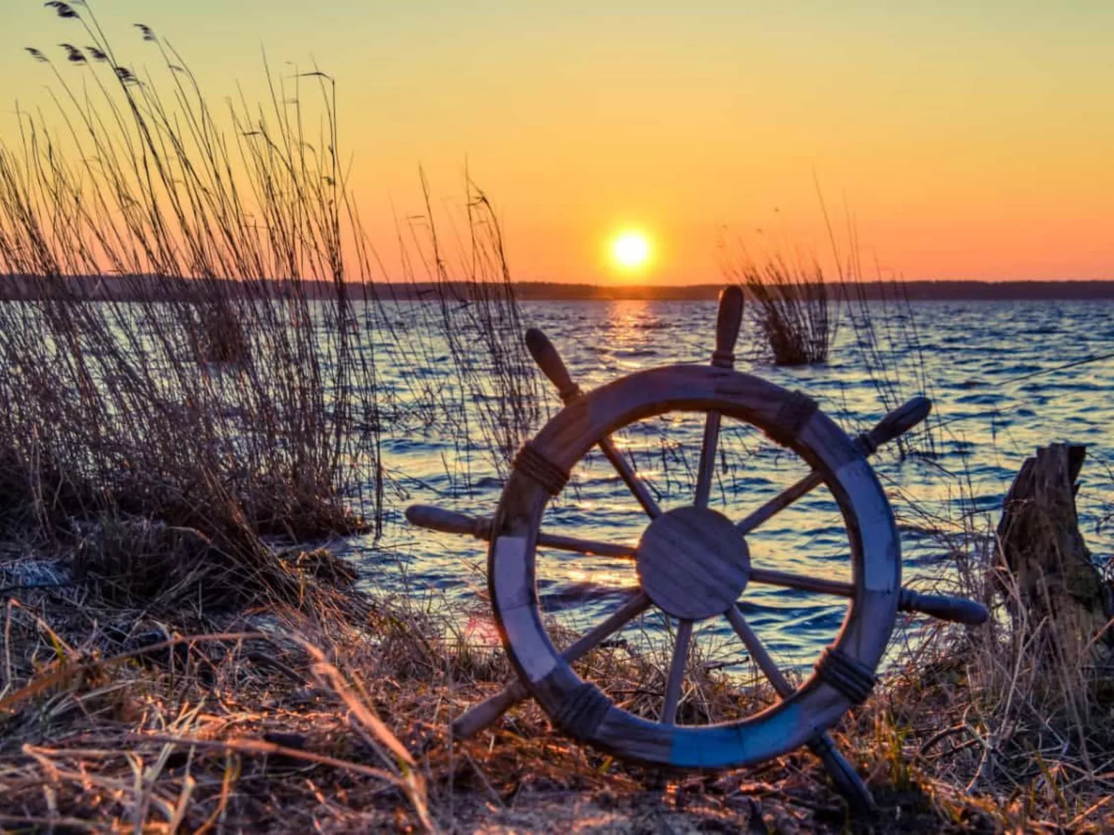 Waldperle-Image-tags.info