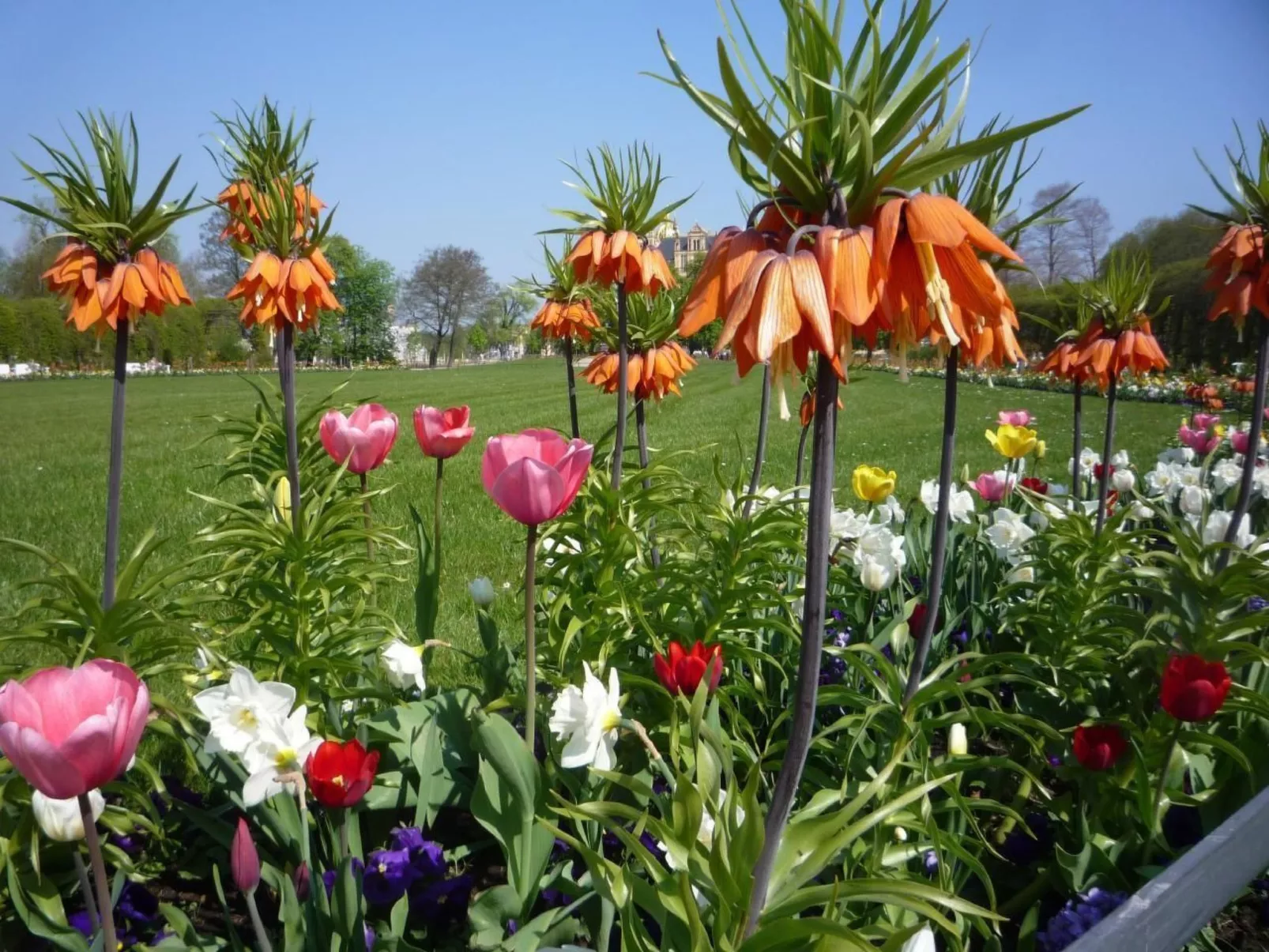 Schwedenhaus Zierow mit Terrasse und Grill-Binnen