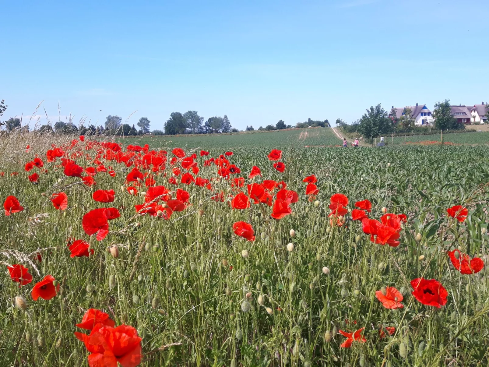 Schönes Schwedenhäuschen-Image-tags.info
