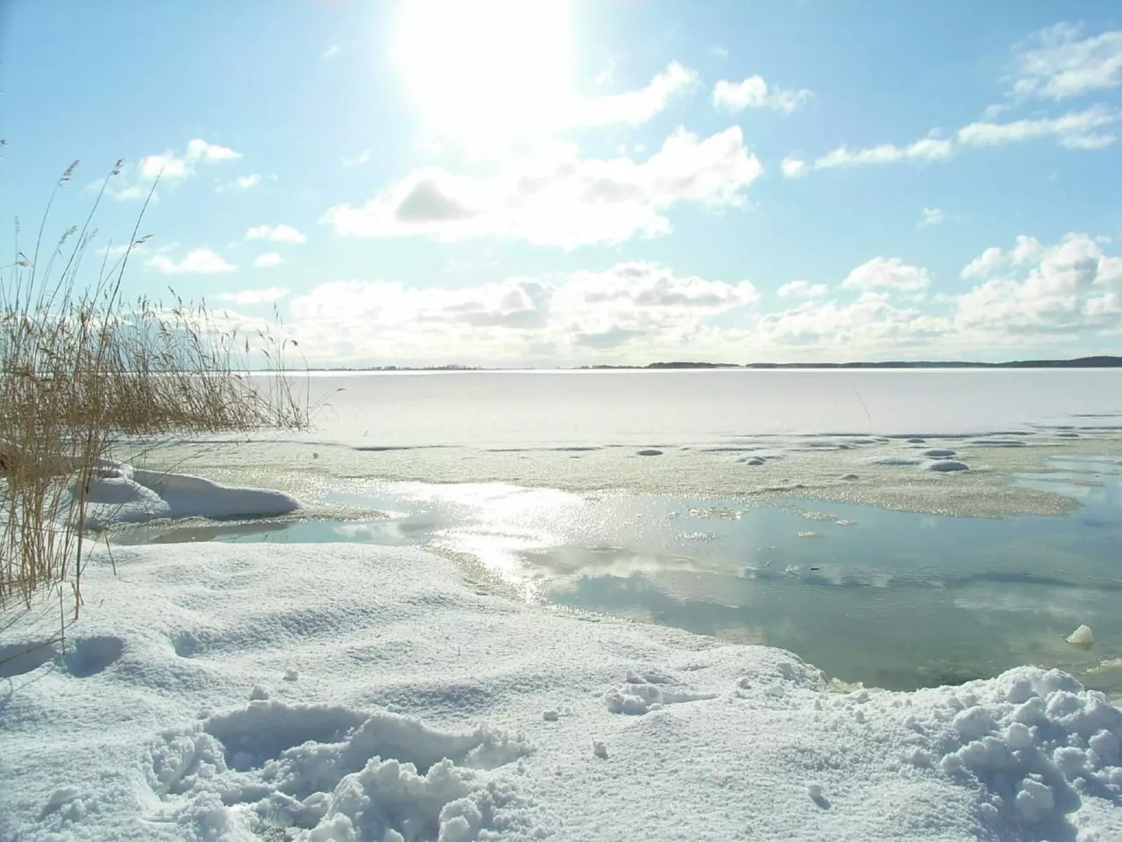 Wohnung in Koserow mit Garten und Grill und Neben dem Strand-Buiten