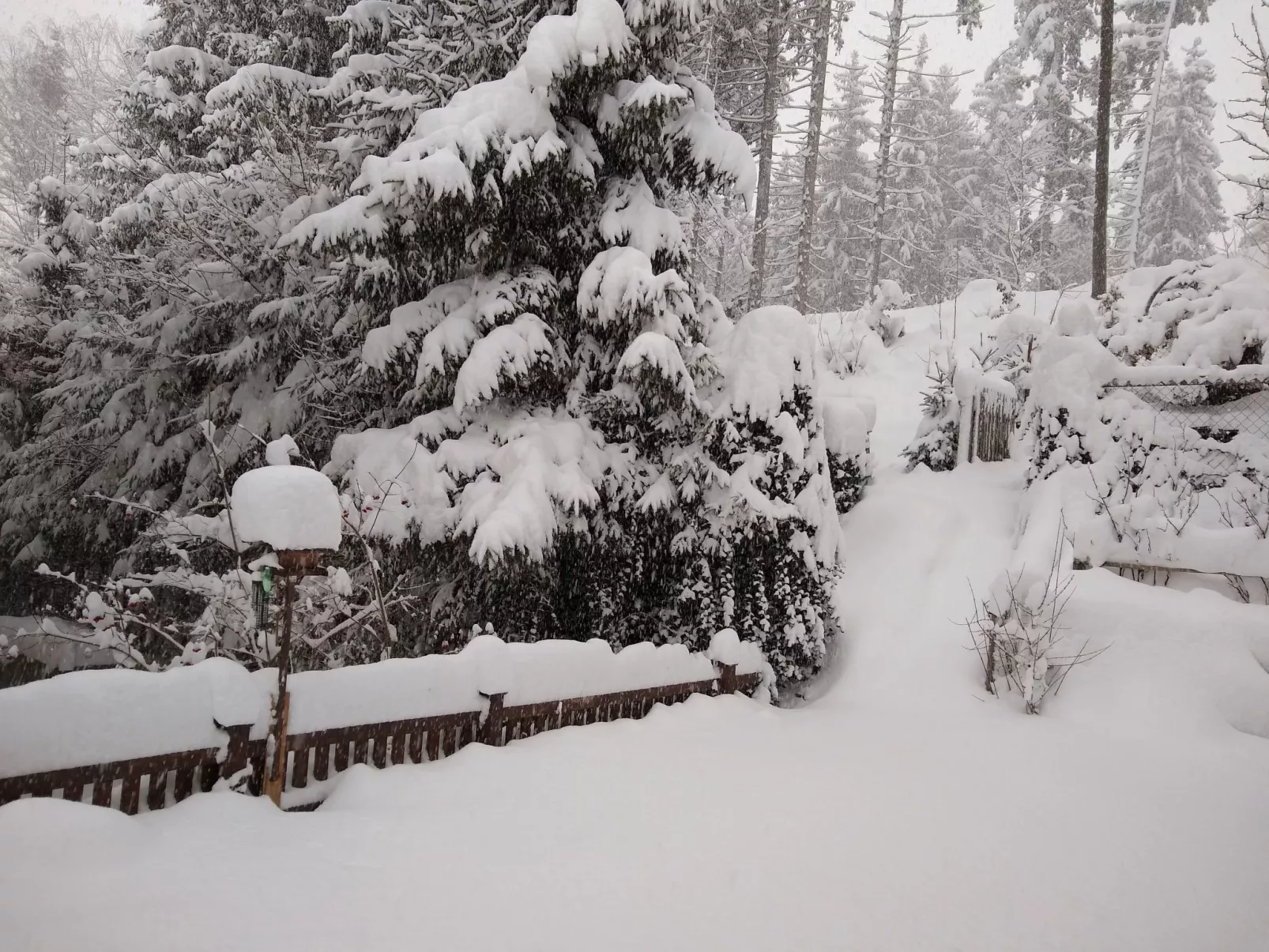 Haus Bernkogelblick in Goldegg-Binnen
