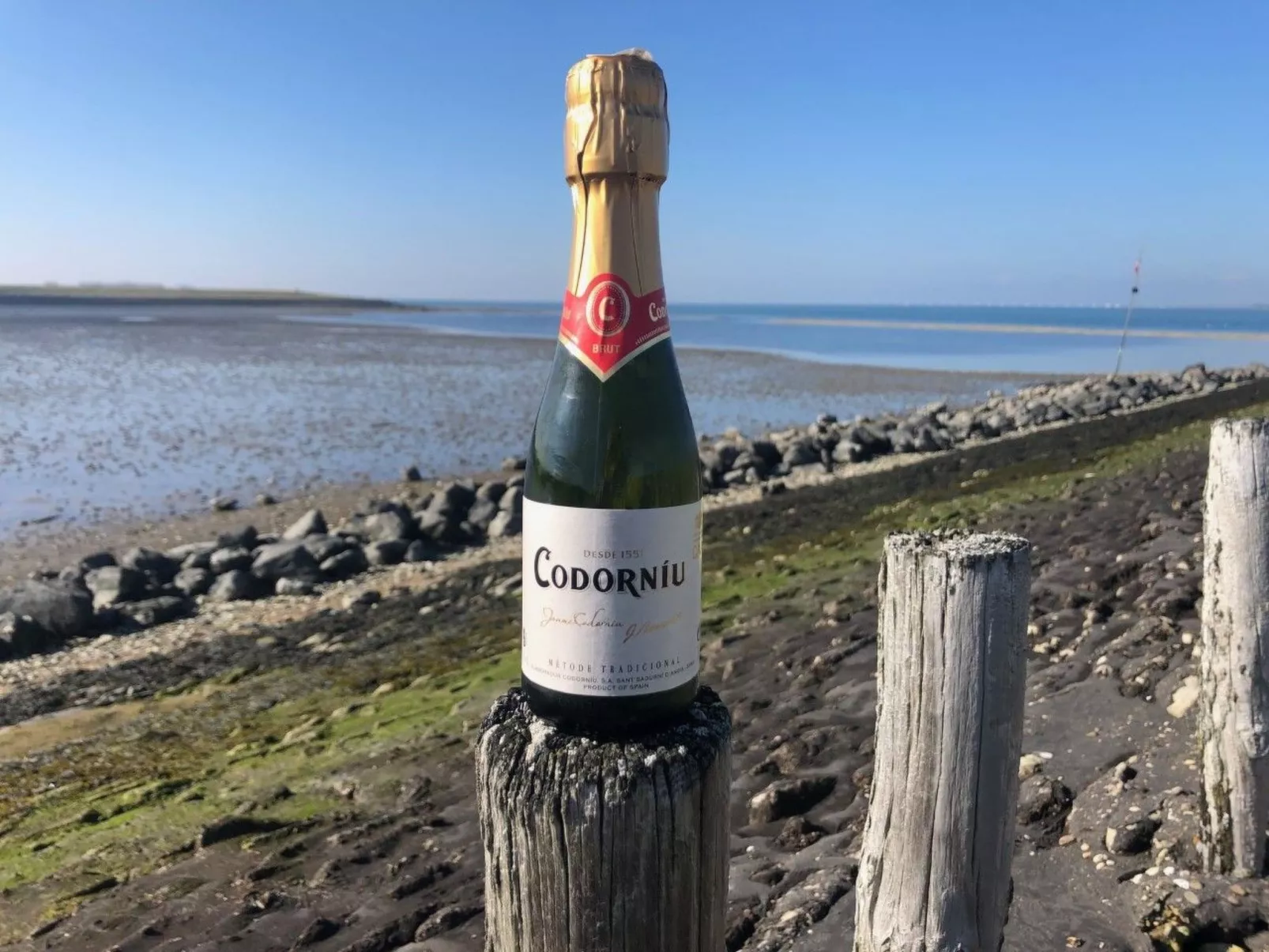 Reefhouse 57, wo es noch Raum für Ruhe gibt-Image-tags.info