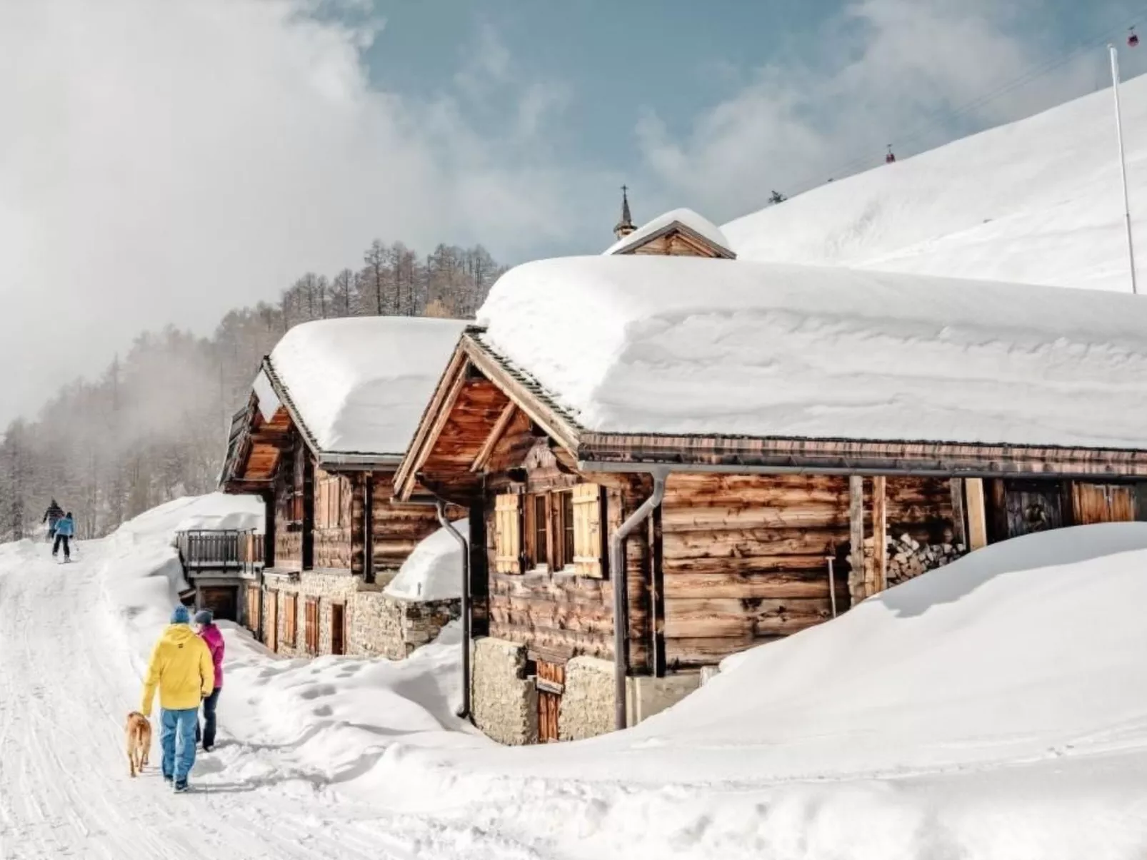 Gemmiblick-Image-tags.info