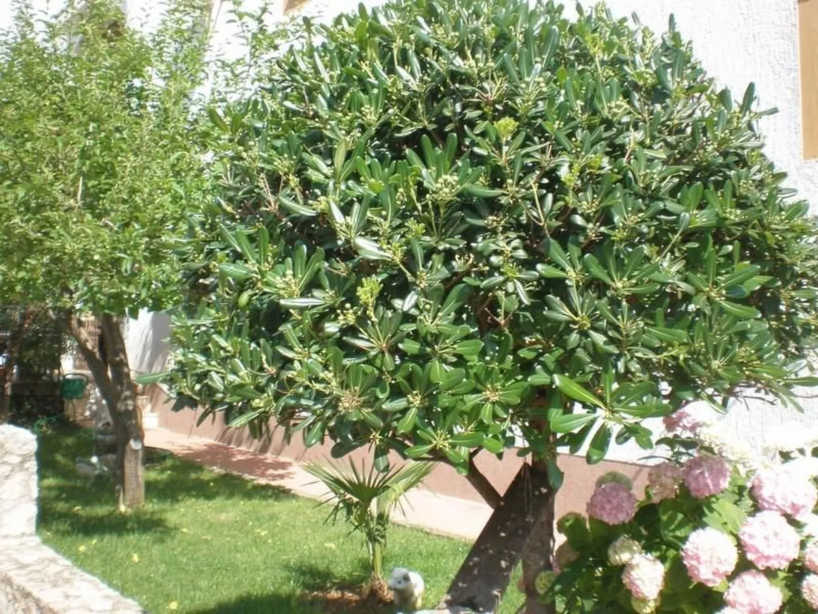 Kleines Studio Slaven in Krk-Image-tags.info