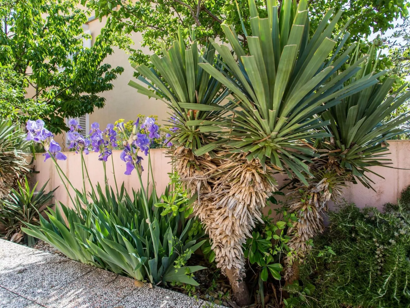 Wohnung Maria in der Nähe des Strandes-Binnen