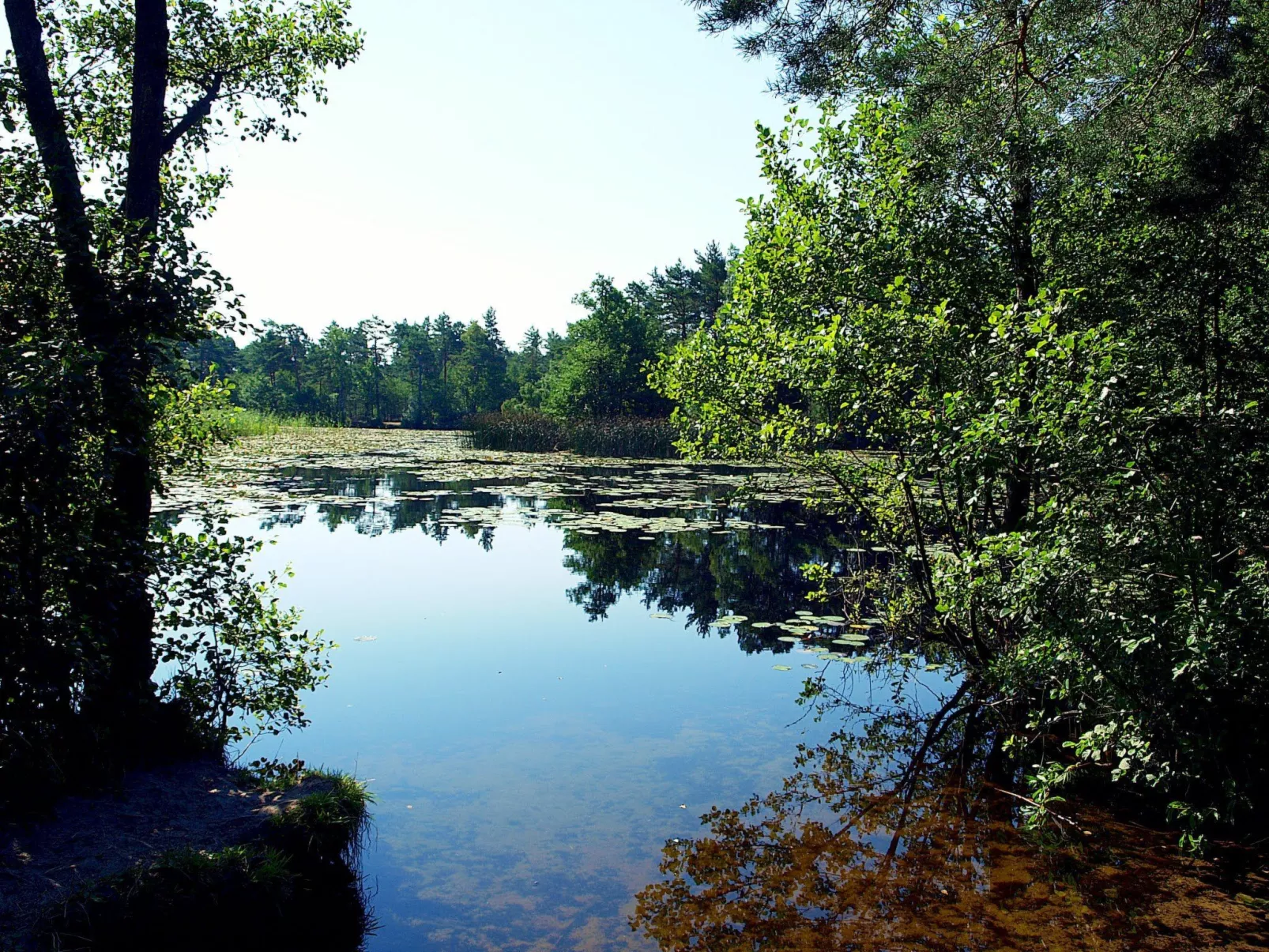 Holzhäuschen Goral-Binnen