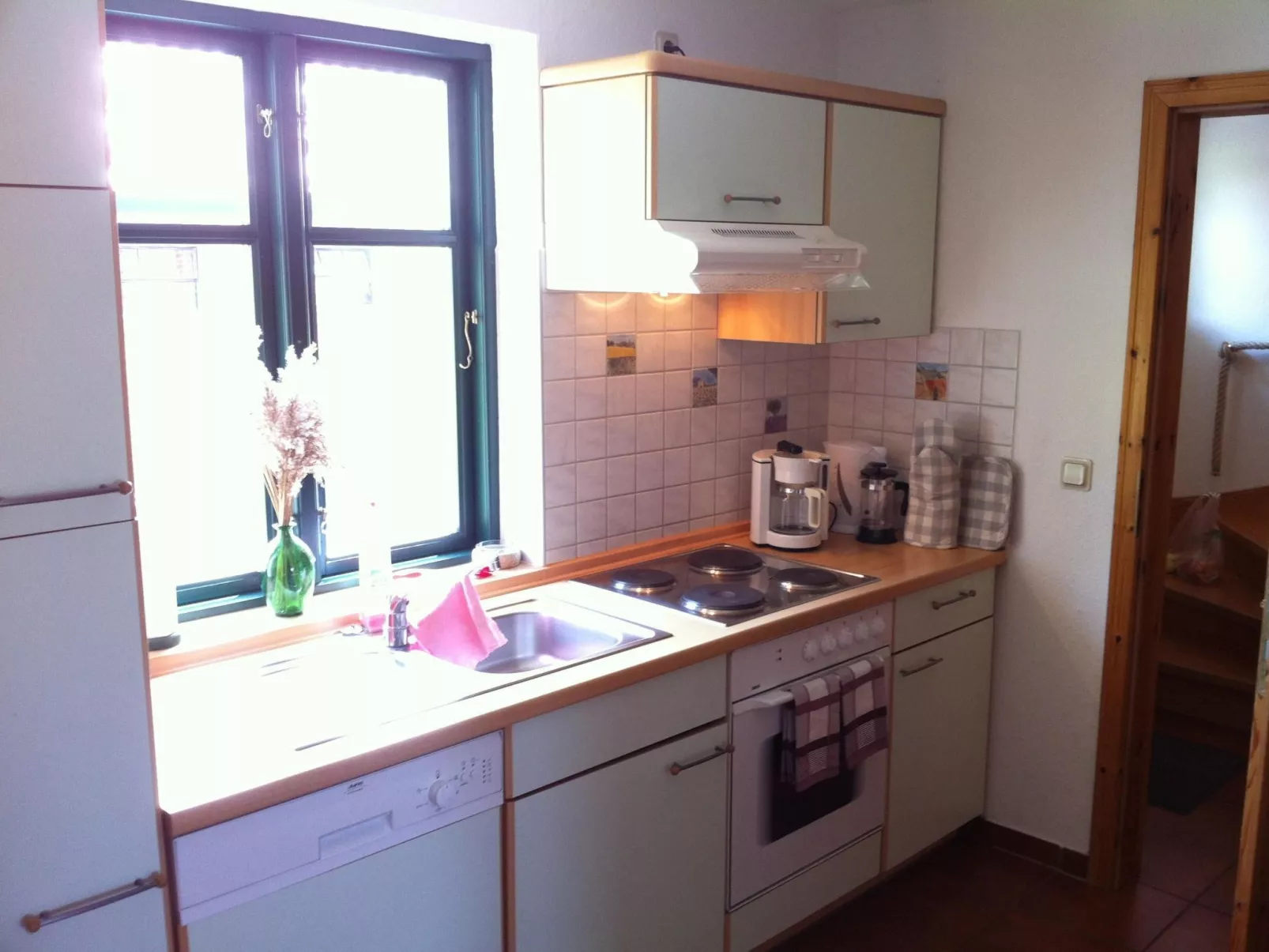 Gans in Ummanz-Lüßvitz-Binnen