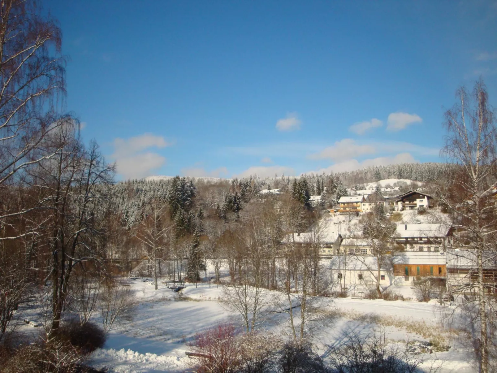 Wiesengrund in Bayerisch Eisenstein-Binnen
