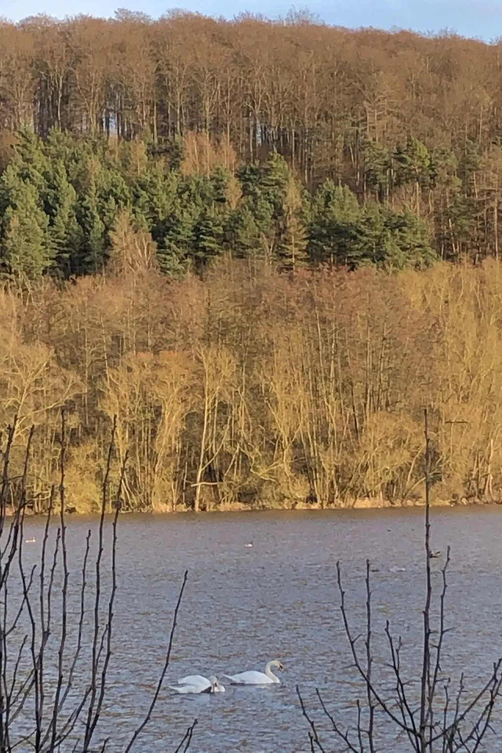 Wunderschönes Ferienhaus am Waldrand-Binnen