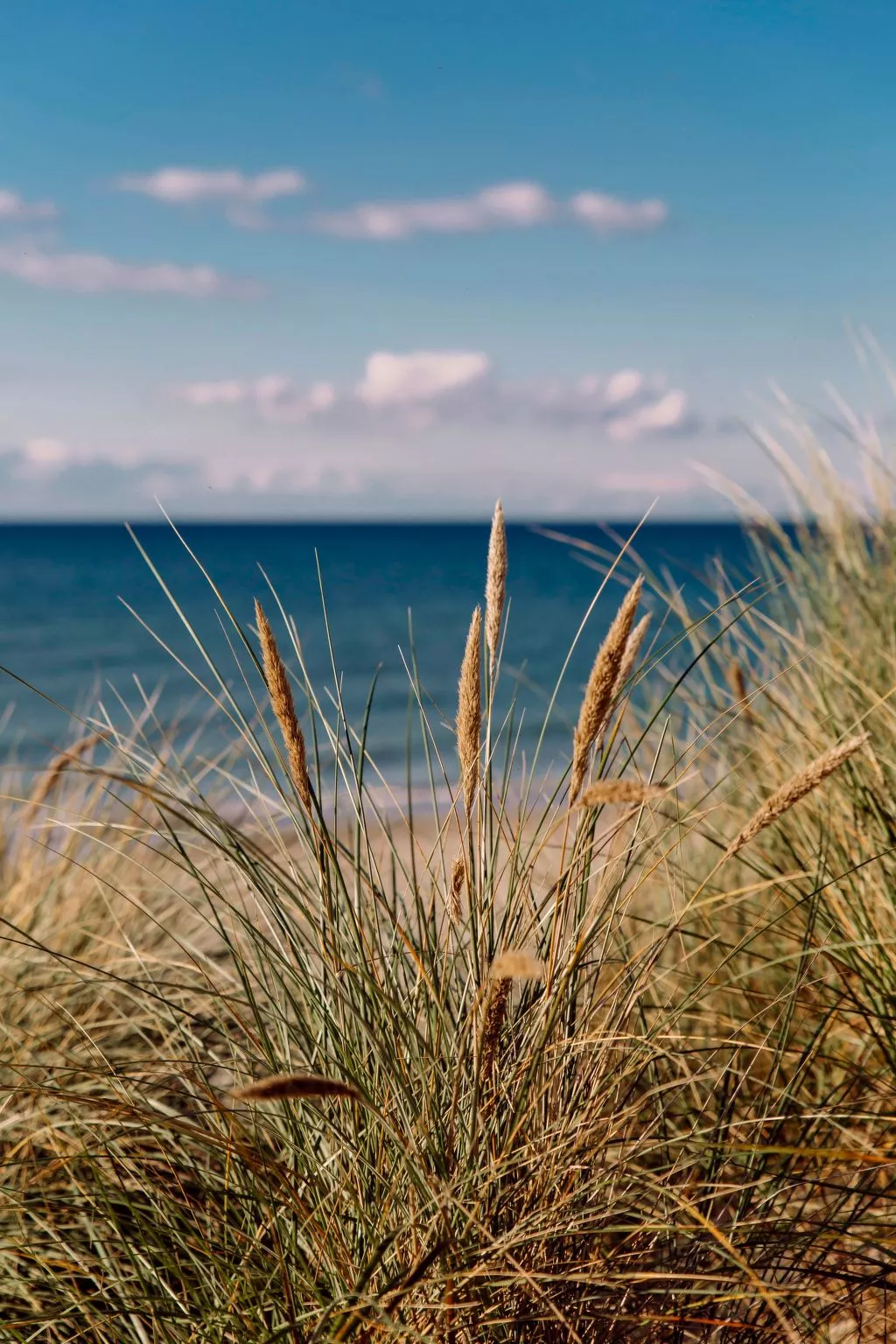 Admiral's Cor. Gulet-Binnen