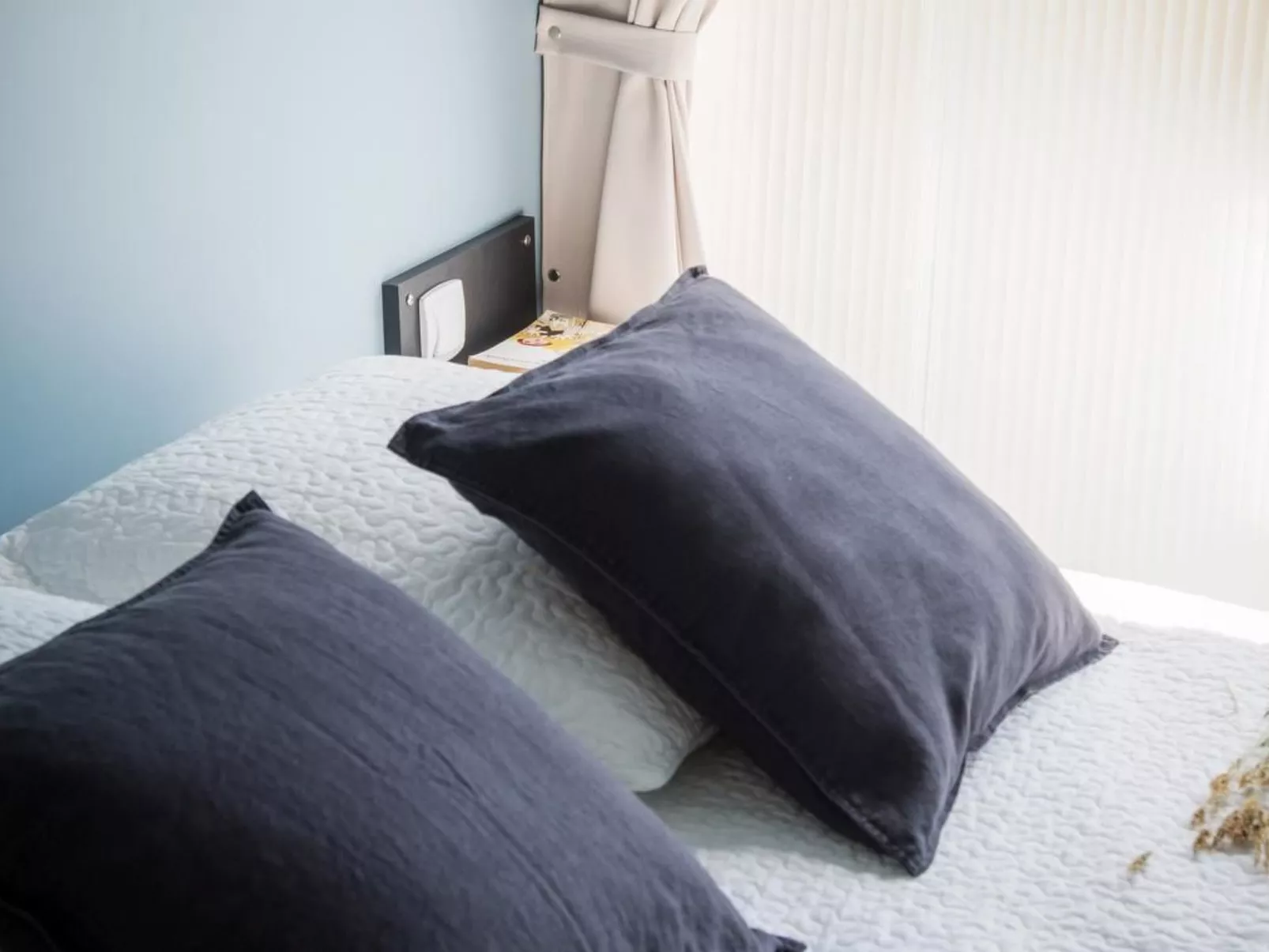 Coco Sweet in Hohenlychen-Binnen