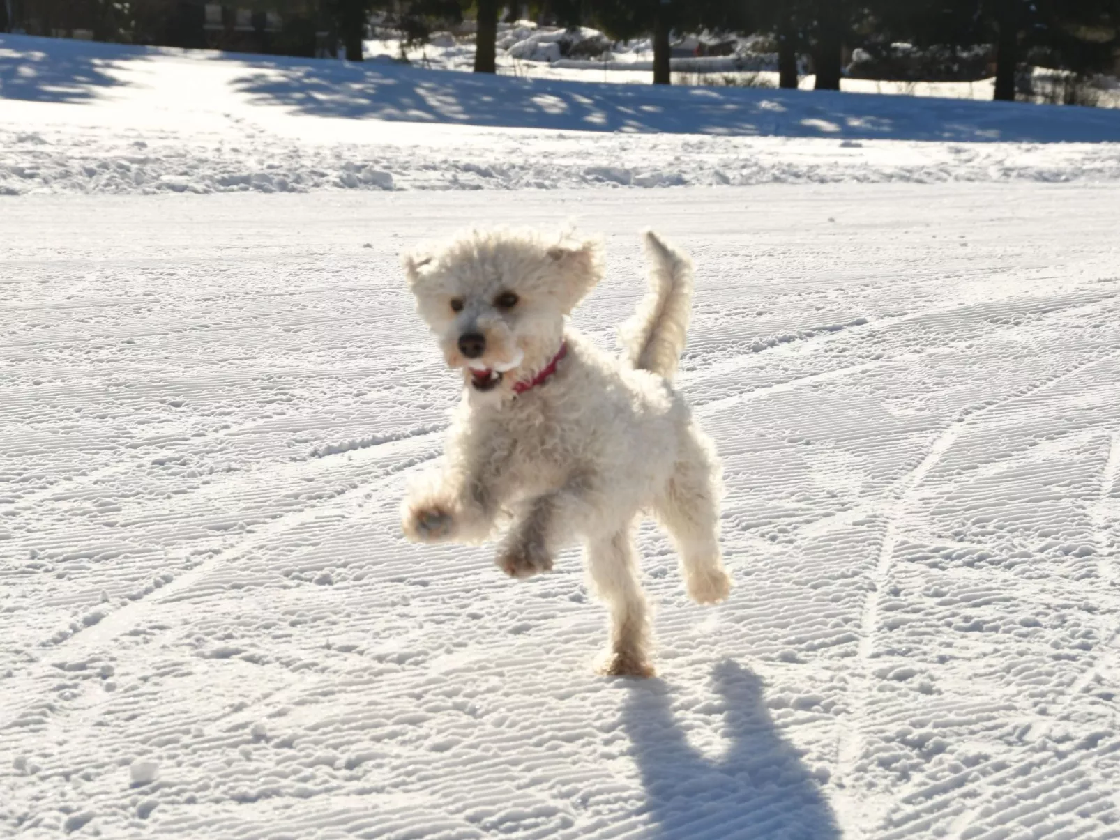 Große und moderne Ferienwohnung im Erdgeschoss-Buiten