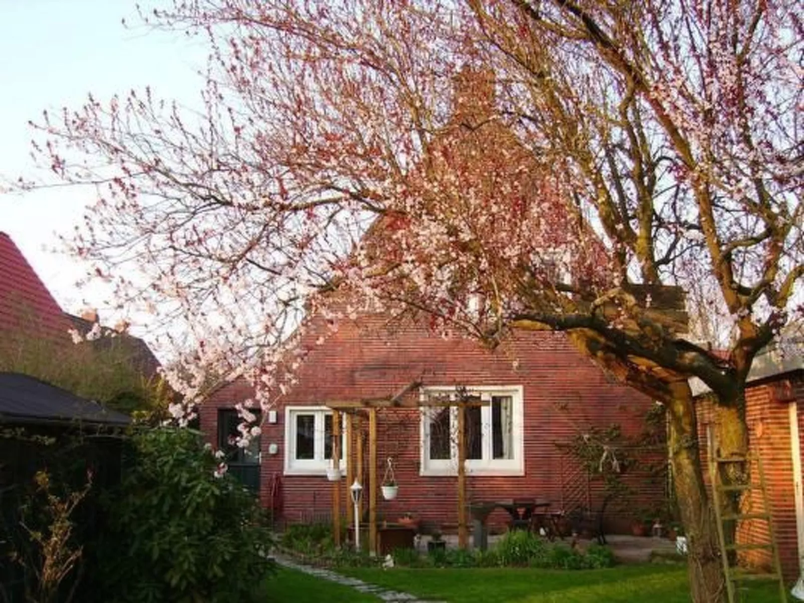 In Norden mit großem Garten-Buiten