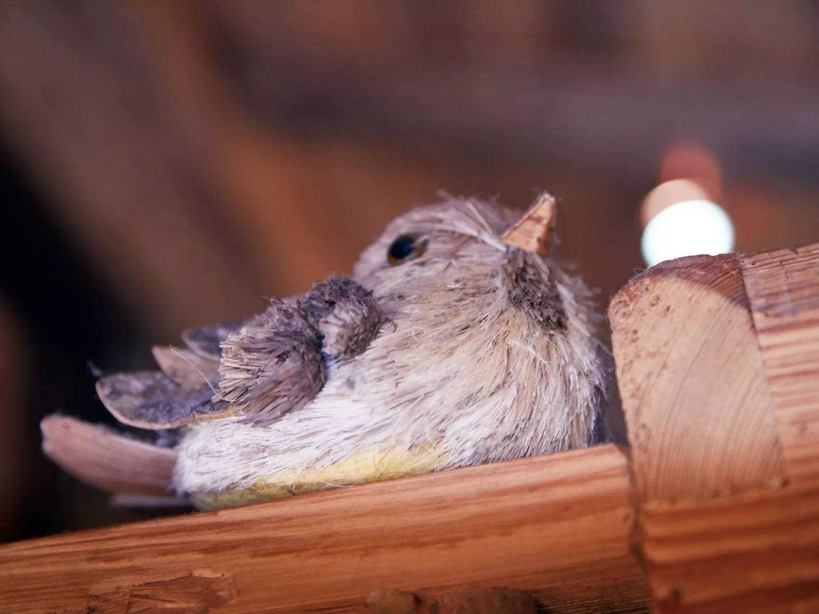 Im Almdorf in Flachau-Binnen