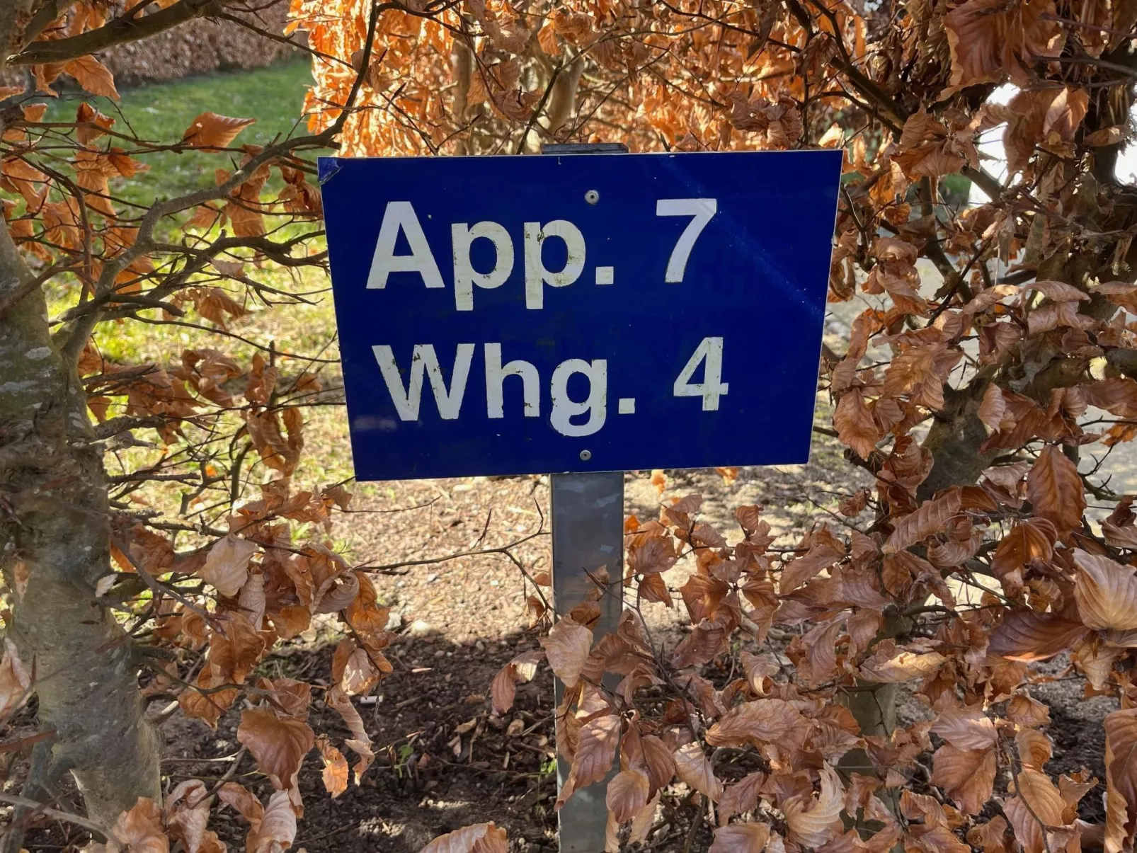 Wohnung in Strandnähe mit Sauna und Kamin - Buiten